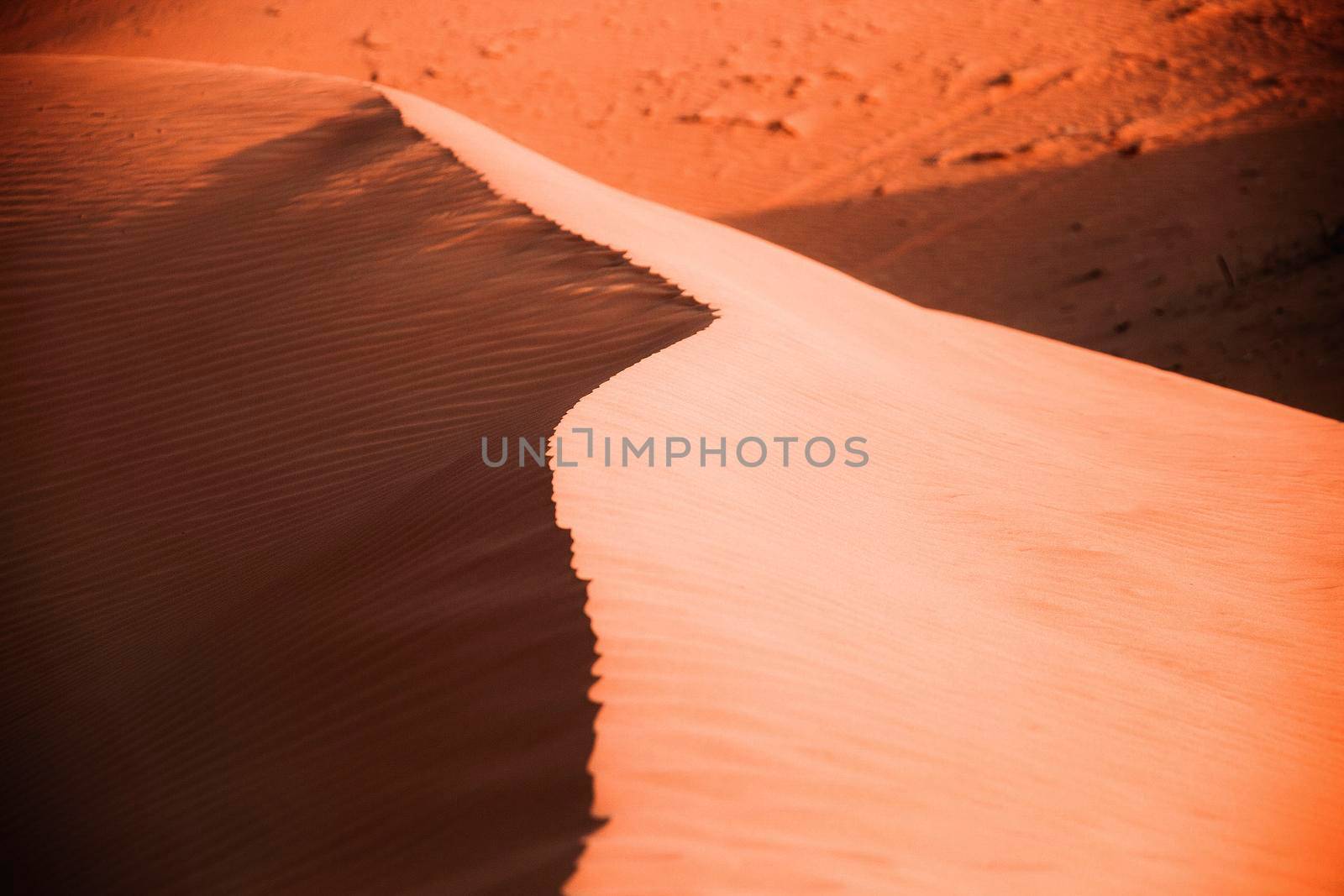 The Desert in Ras al Khaimah, United Arab Emirates, Asia  by Weltblick