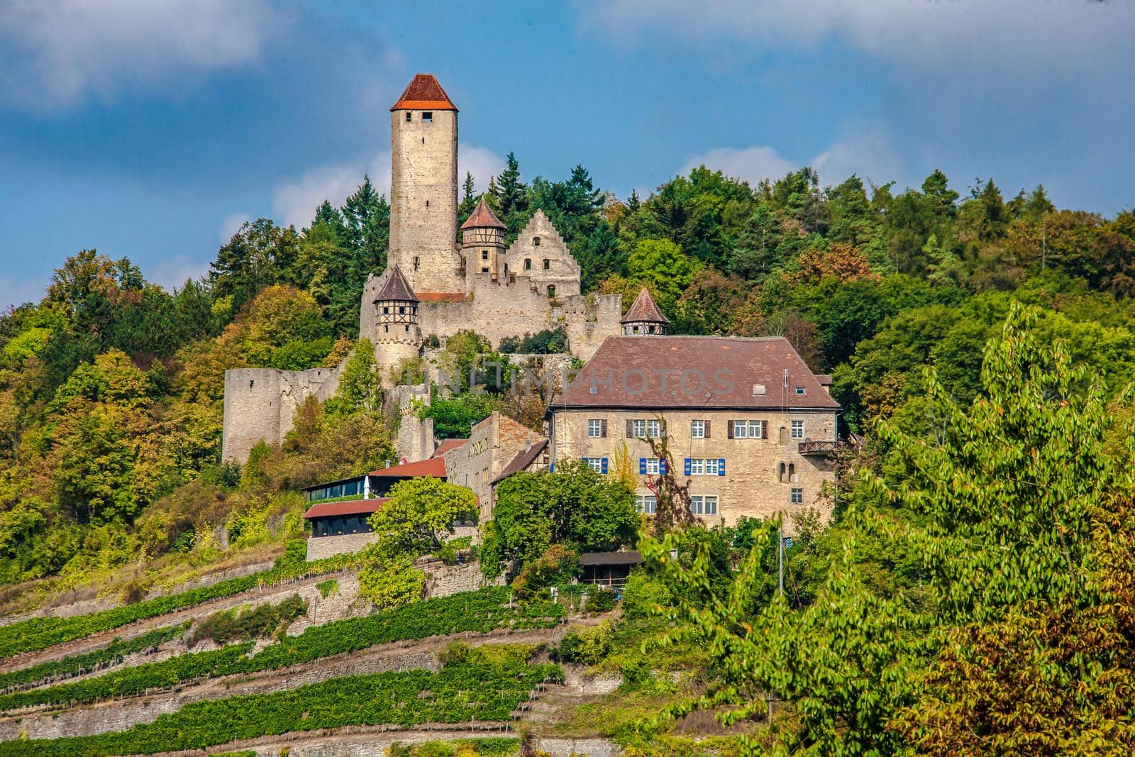 castle Hornberg, Neckarzimmern, Baden-Württemberg, Germany by Weltblick