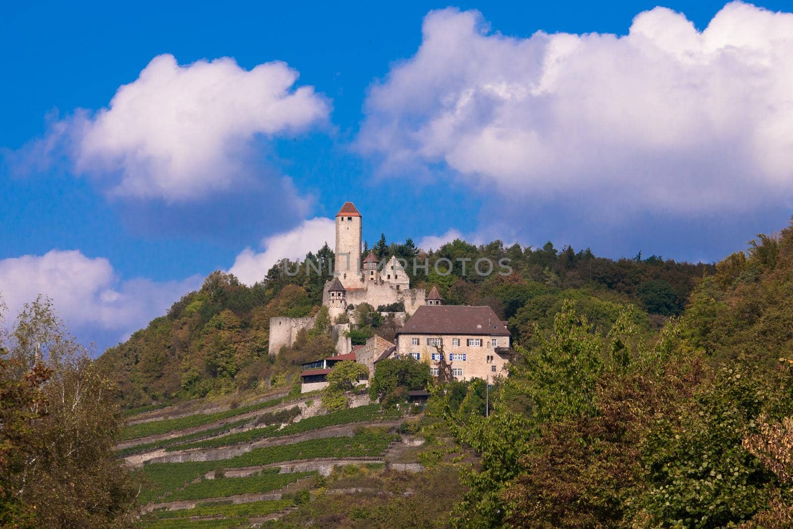 castle Hornberg, Neckarzimmern, Baden-Württemberg, Germany