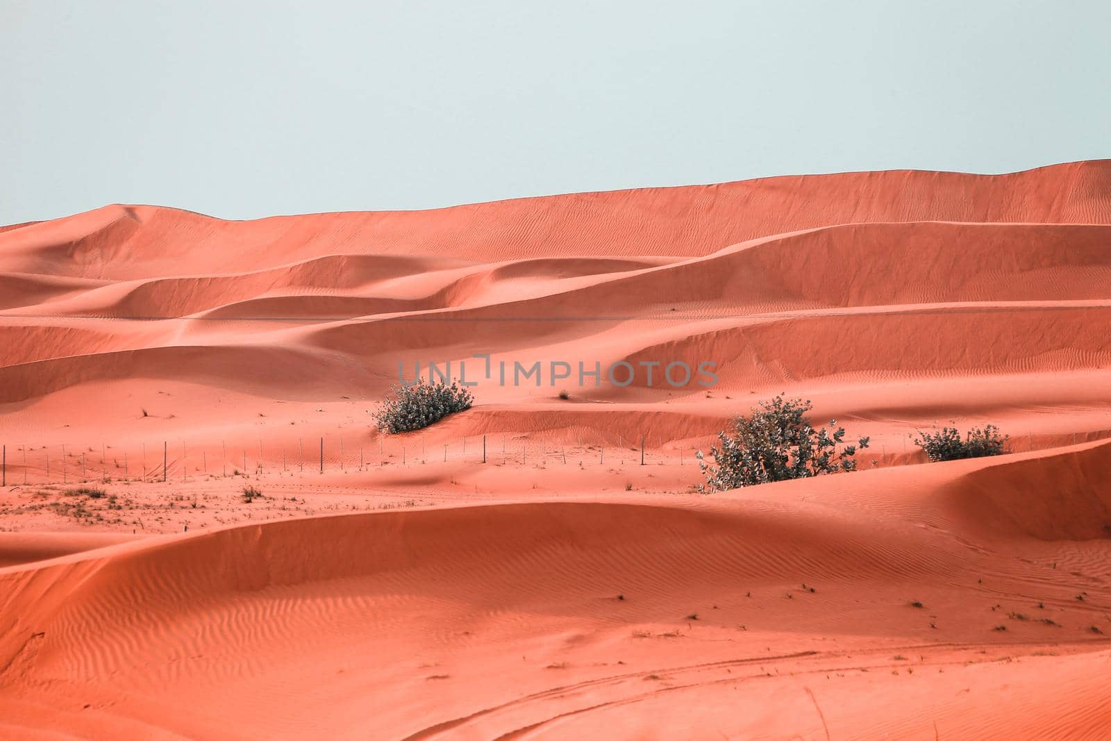 The Desert in Ras al Khaimah, United Arab Emirates, Asia  by Weltblick