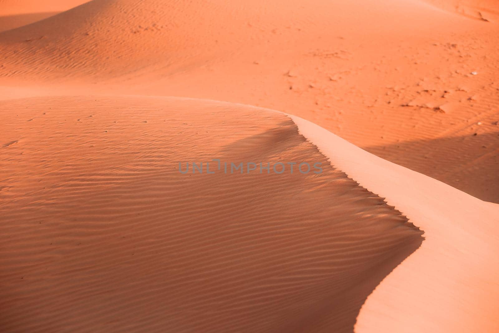 The Desert in Ras al Khaimah, United Arab Emirates, Asia 