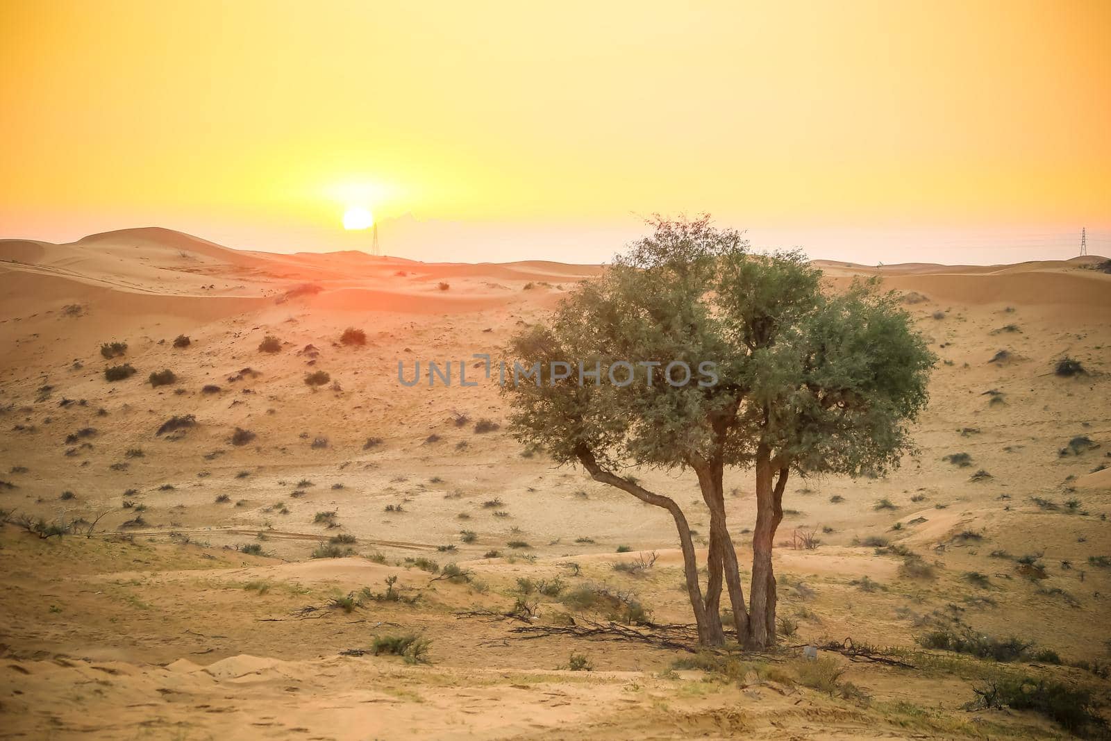 The Desert in Ras al Khaimah, United Arab Emirates, Asia 