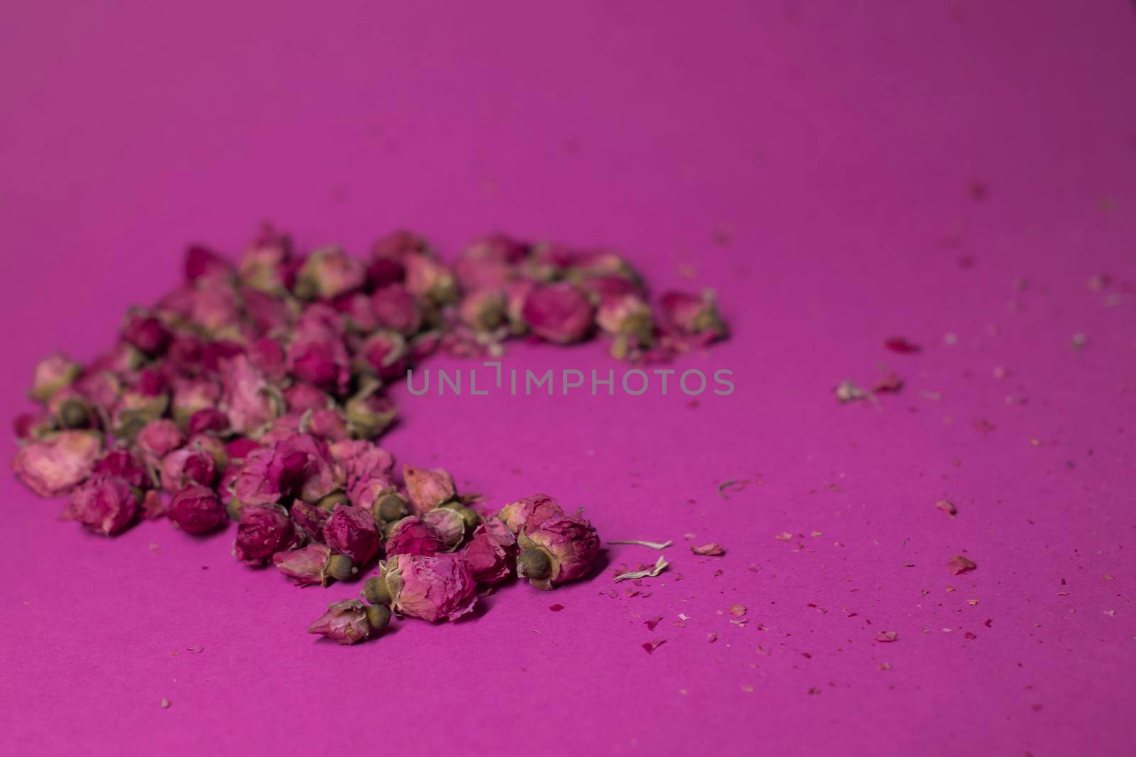 A lot of little pink roses on a pink background - moon-shaped - horizontal photo