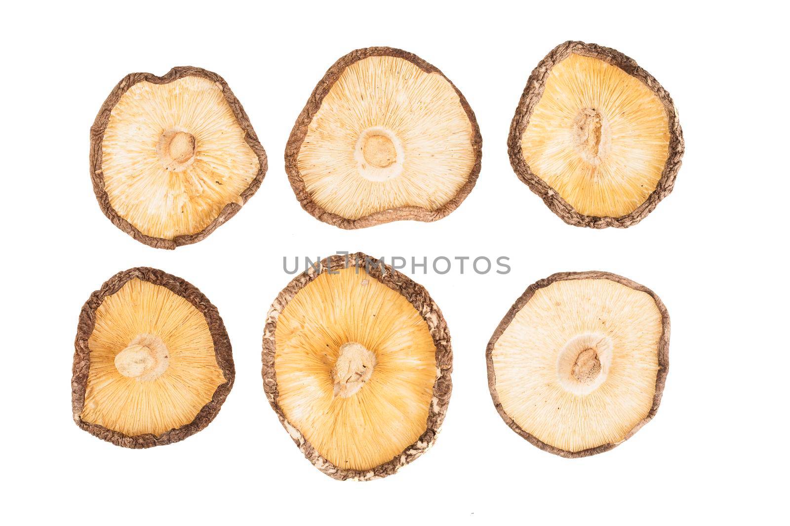 Six dried shiitake mushrooms isolated on a white background.