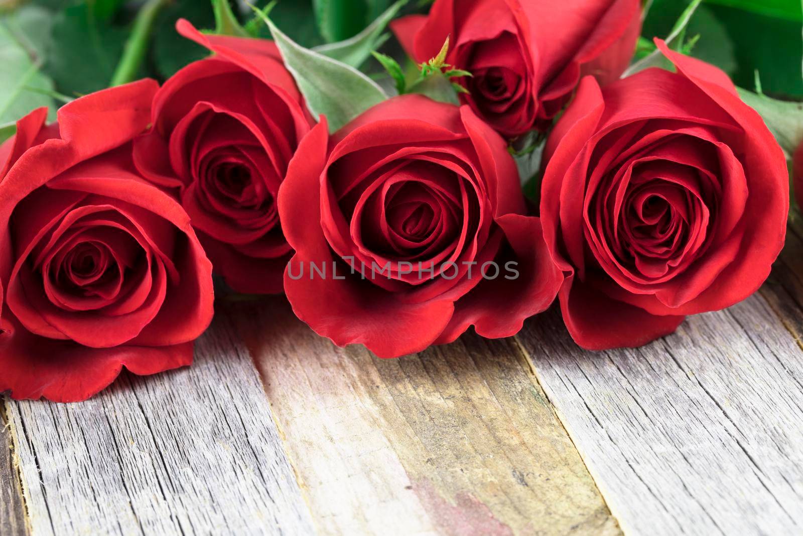 Romantic Red Roses by charlotteLake
