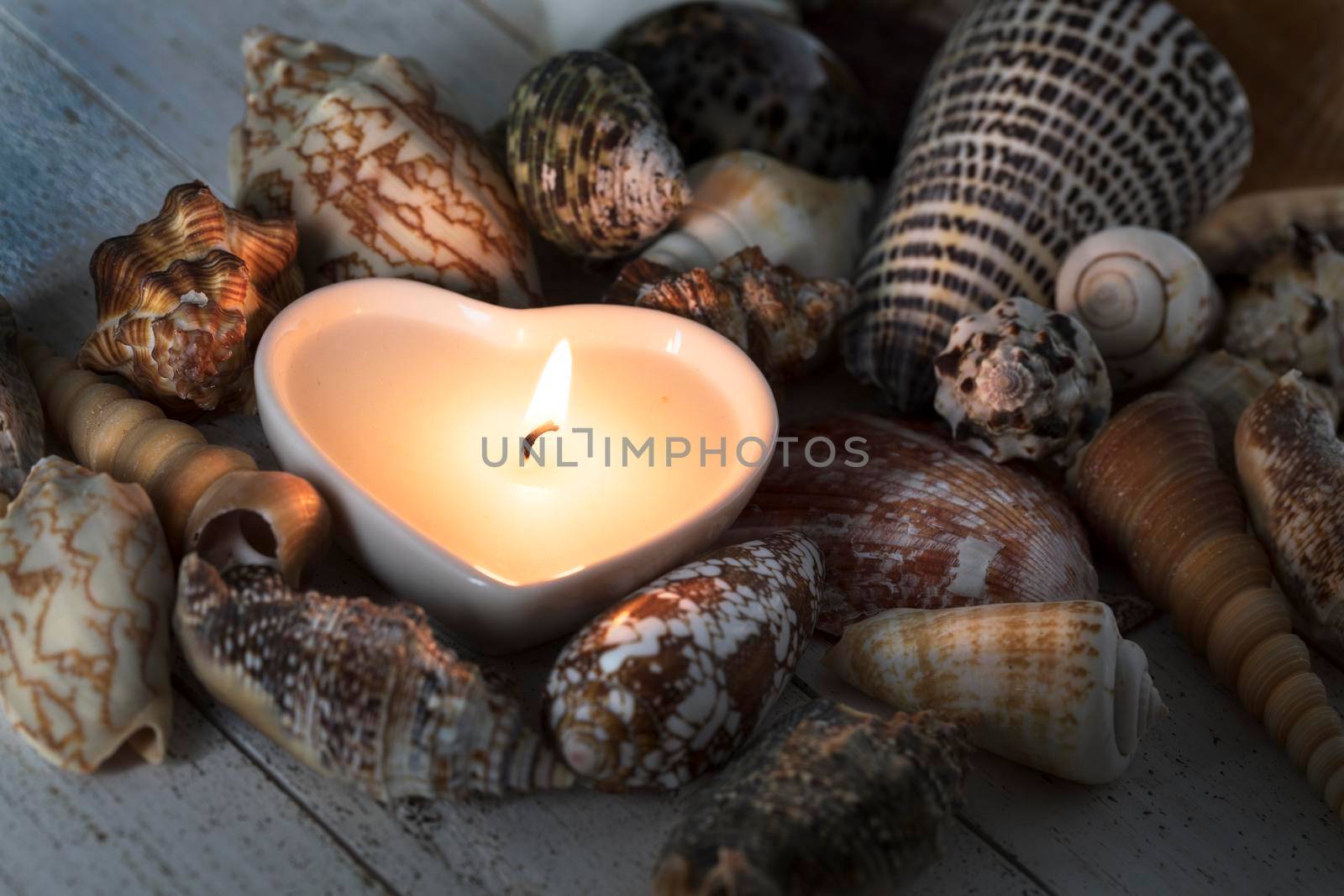 Peaceful heart shaped candle surrounded by sea shells.