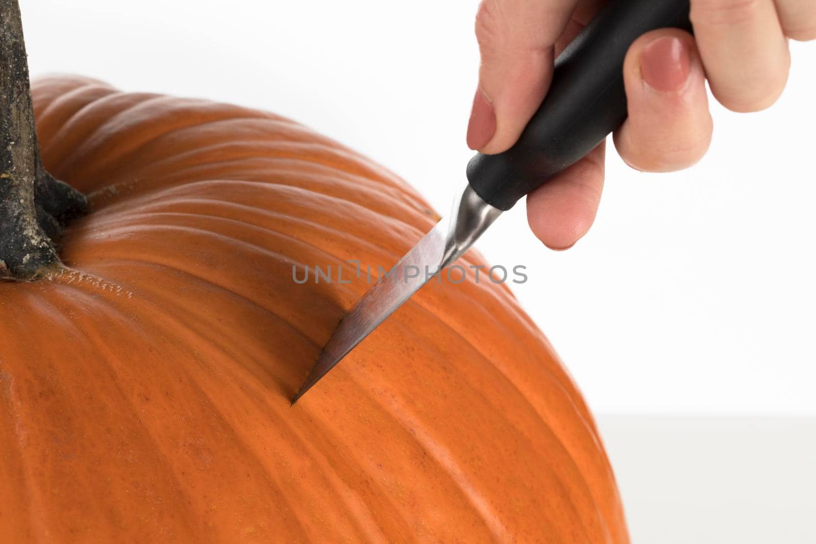 Close up of knife cutting into pumpkin for carving into jack o lantern