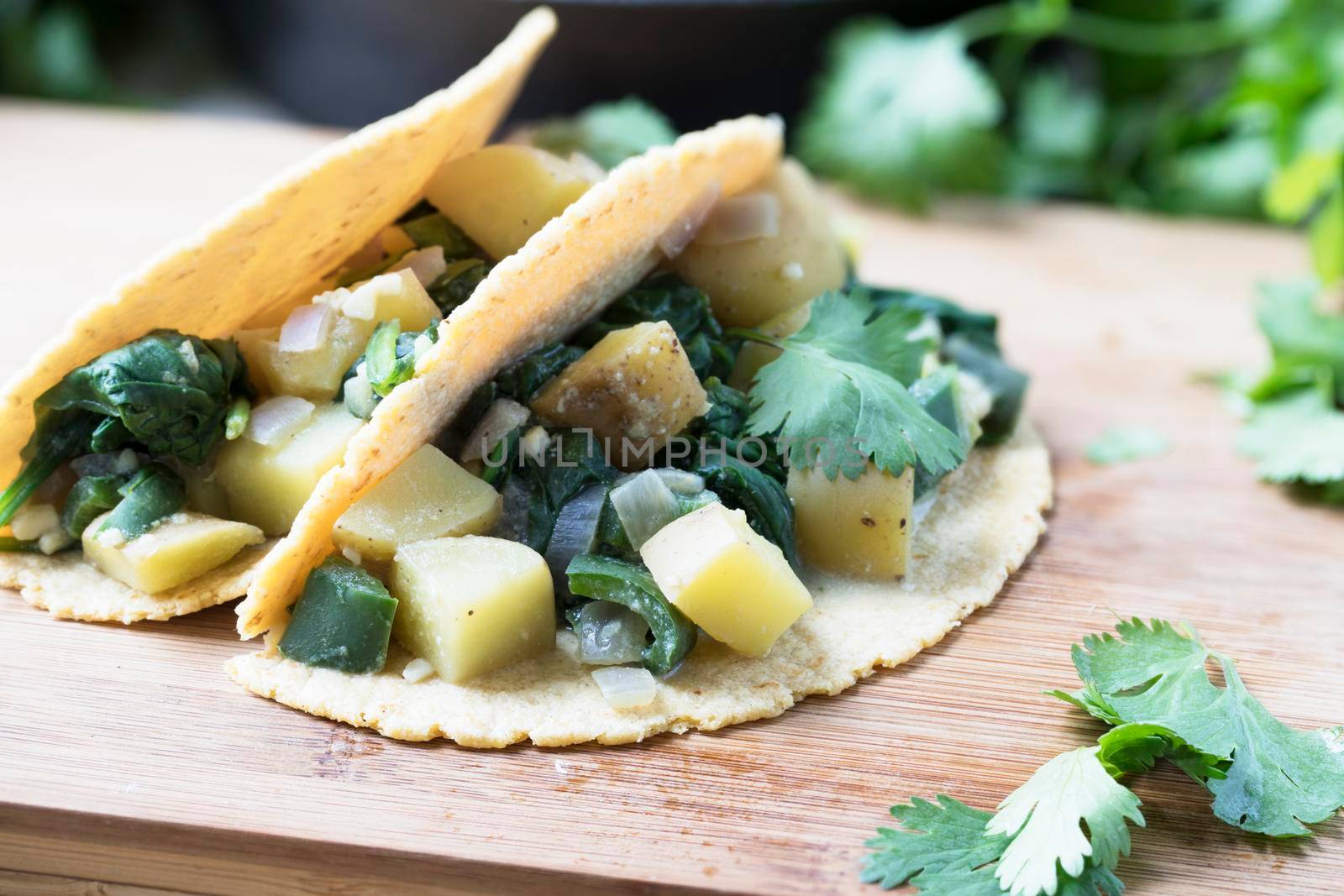 Two vegan soft tacos filled with potatoes and spinach and topped with cilantro.