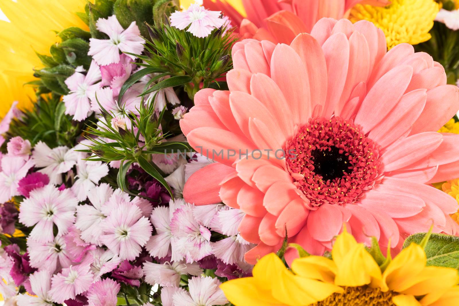 Close up of bouquet of flowers with pink daisy.