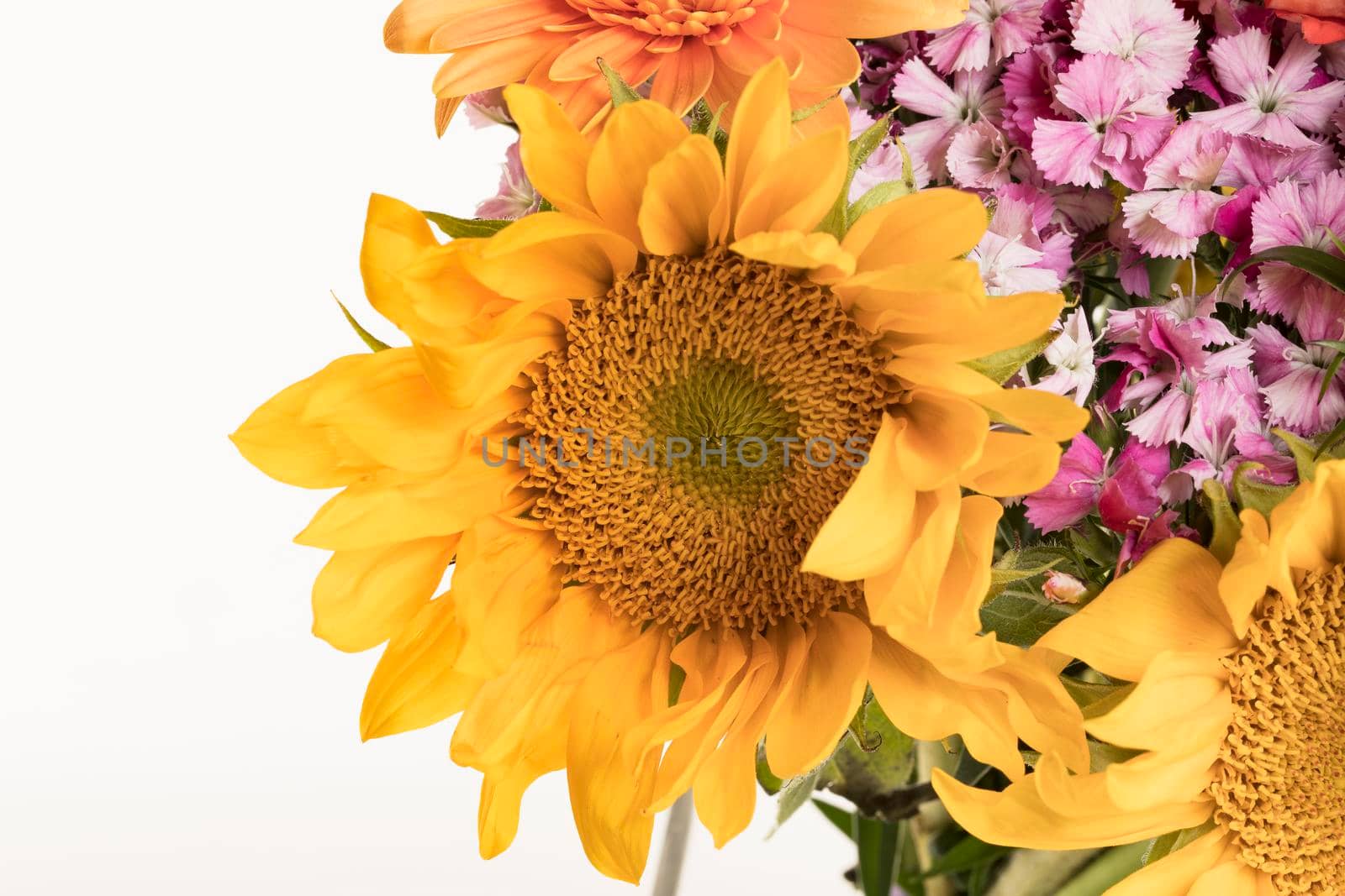 Sunflower in bouquet isolated on white background.