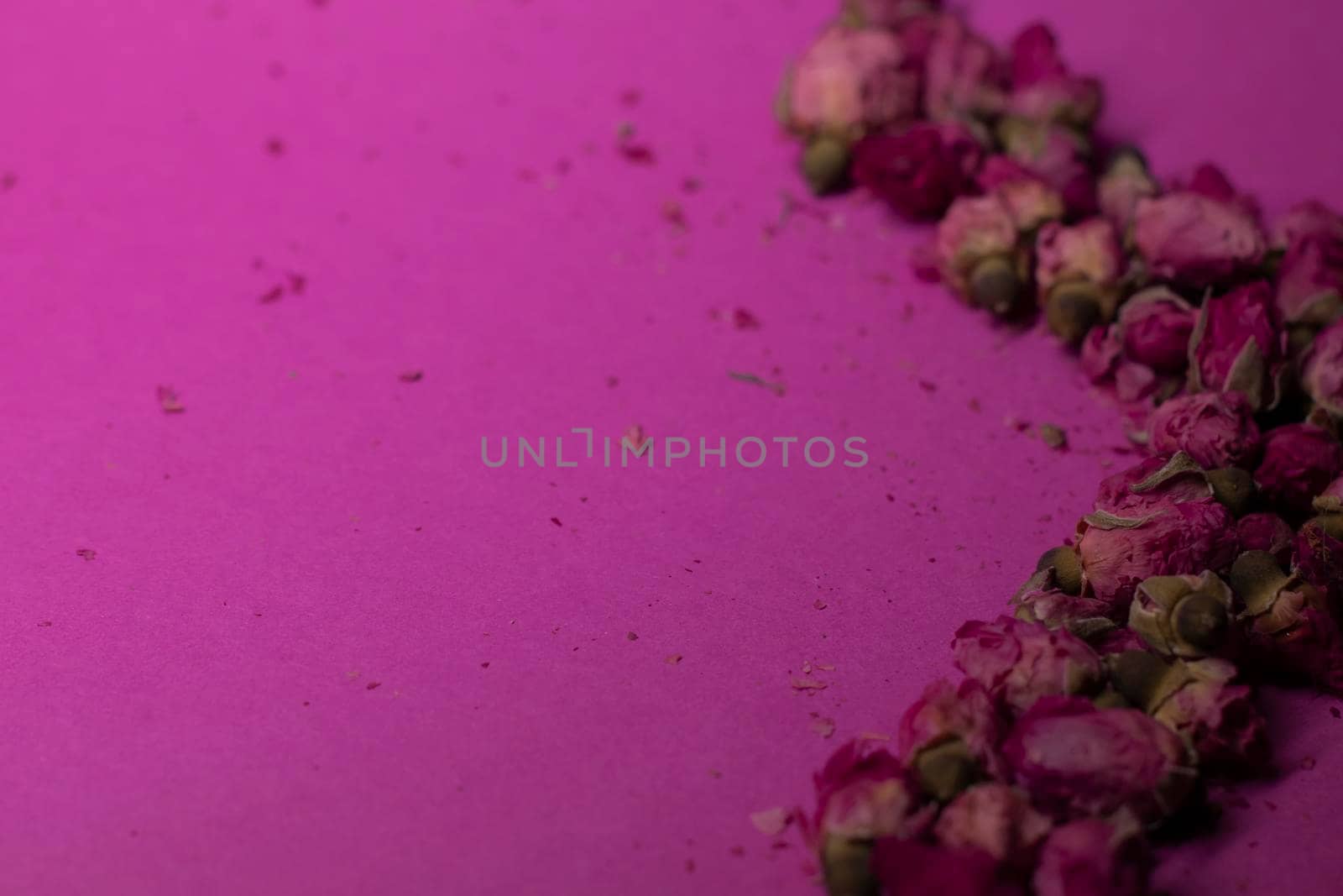 A lot of little pink roses on a pink background - X-shaped - horizontal photo