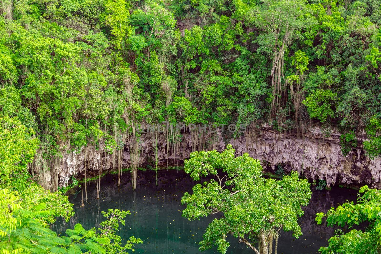 A small lake in a public park surrounded by tall green trees. Top view of the Dominican Republic.