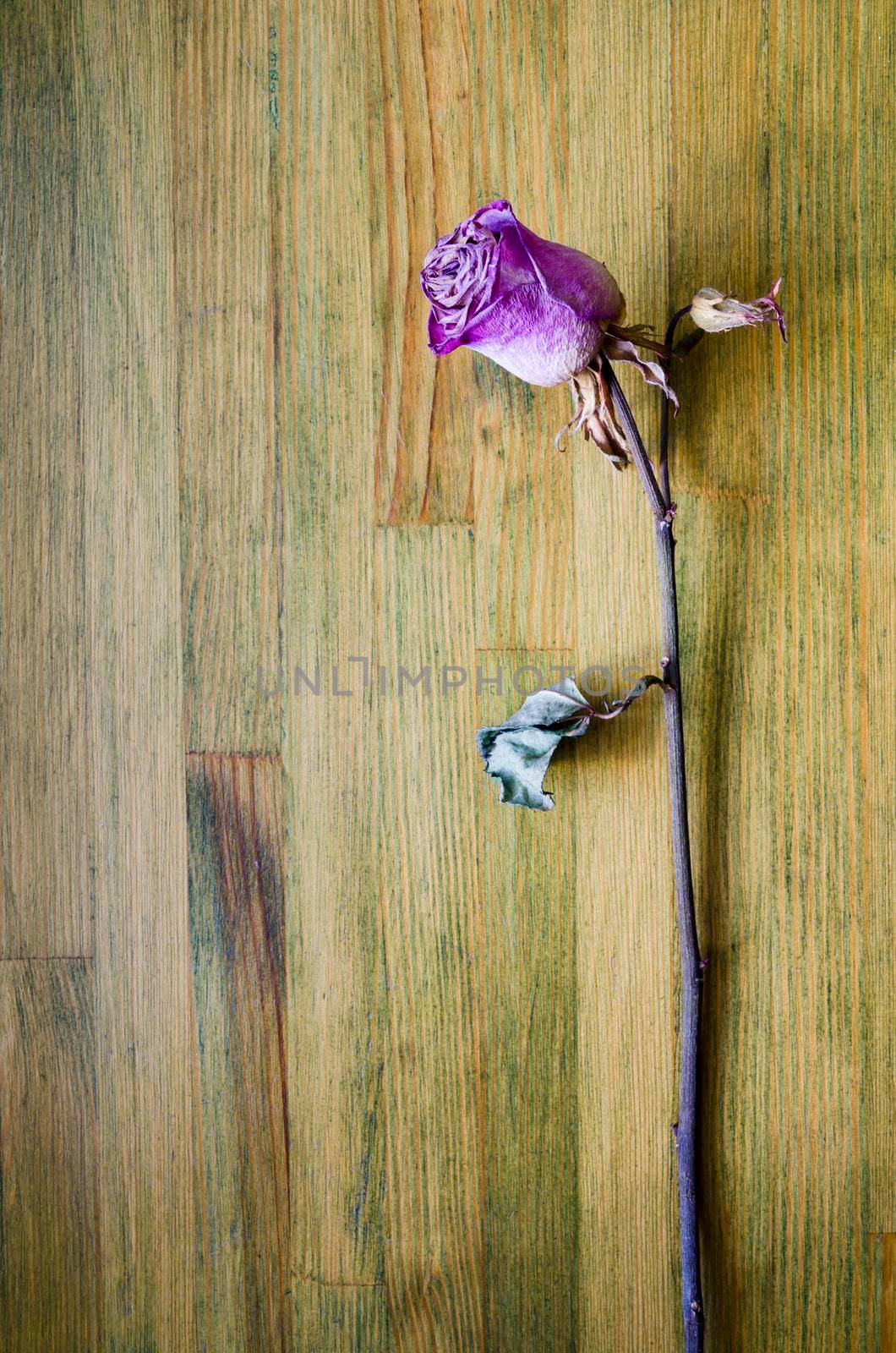 pink dried rose lays on the weathered wooden table top