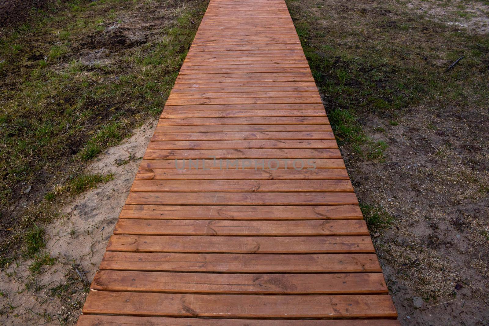 Wooden boardwalk walking path in the yard.