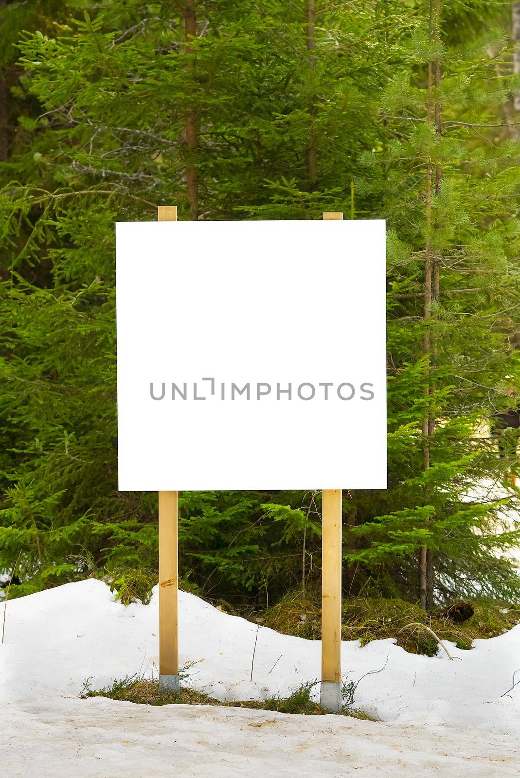 white advert billboard placeholder, blank information poster in forest. white empty Bulletin board in winter pine forest for outdoor info banner. mockup