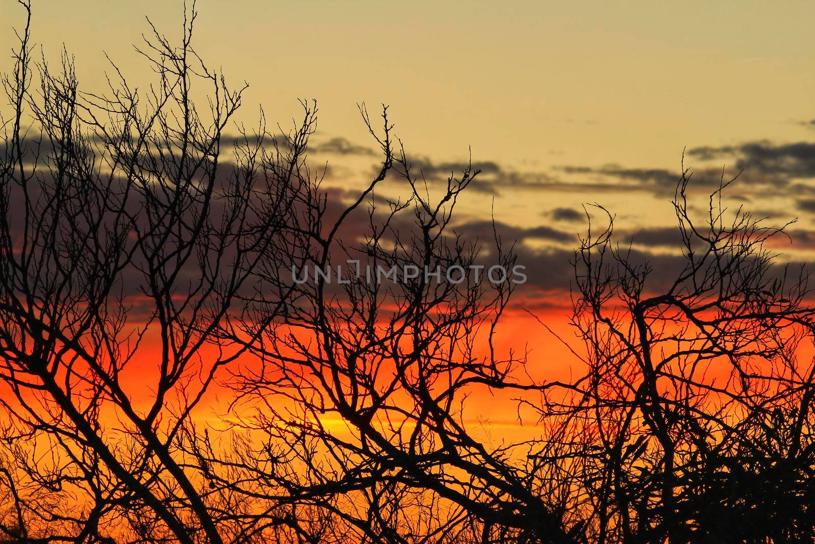 Clouds and lovely sky at Sunset in Alicante in spring
