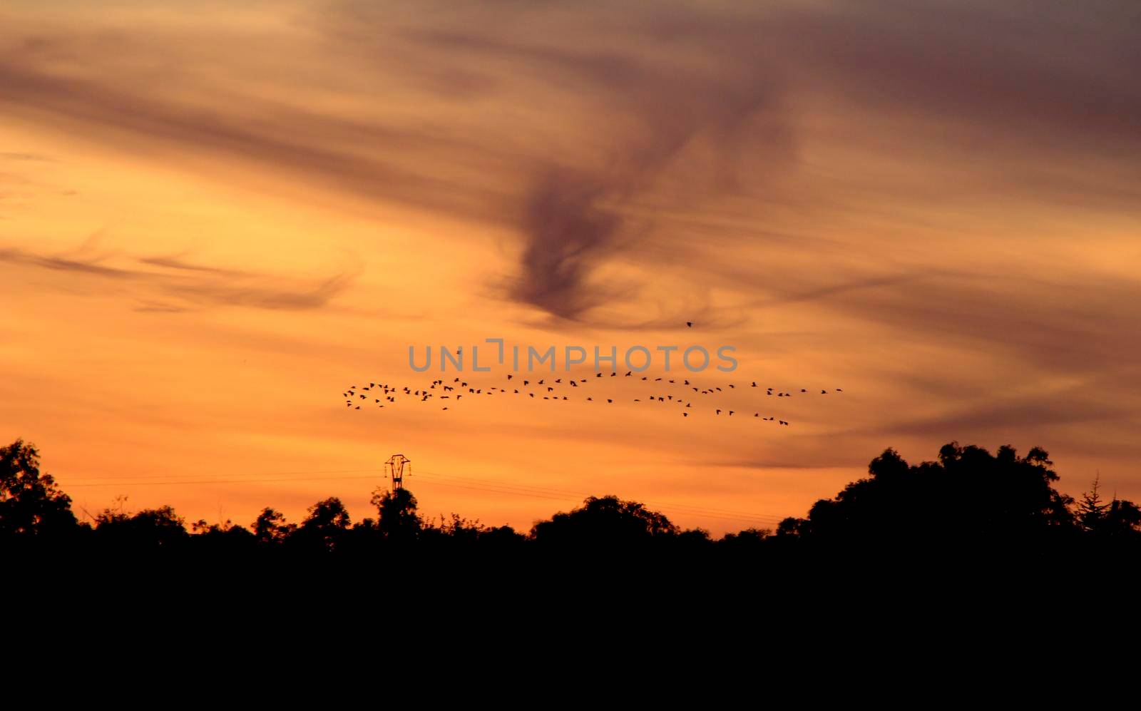 Clouds and lovely sky at Sunset in Alicante in winter