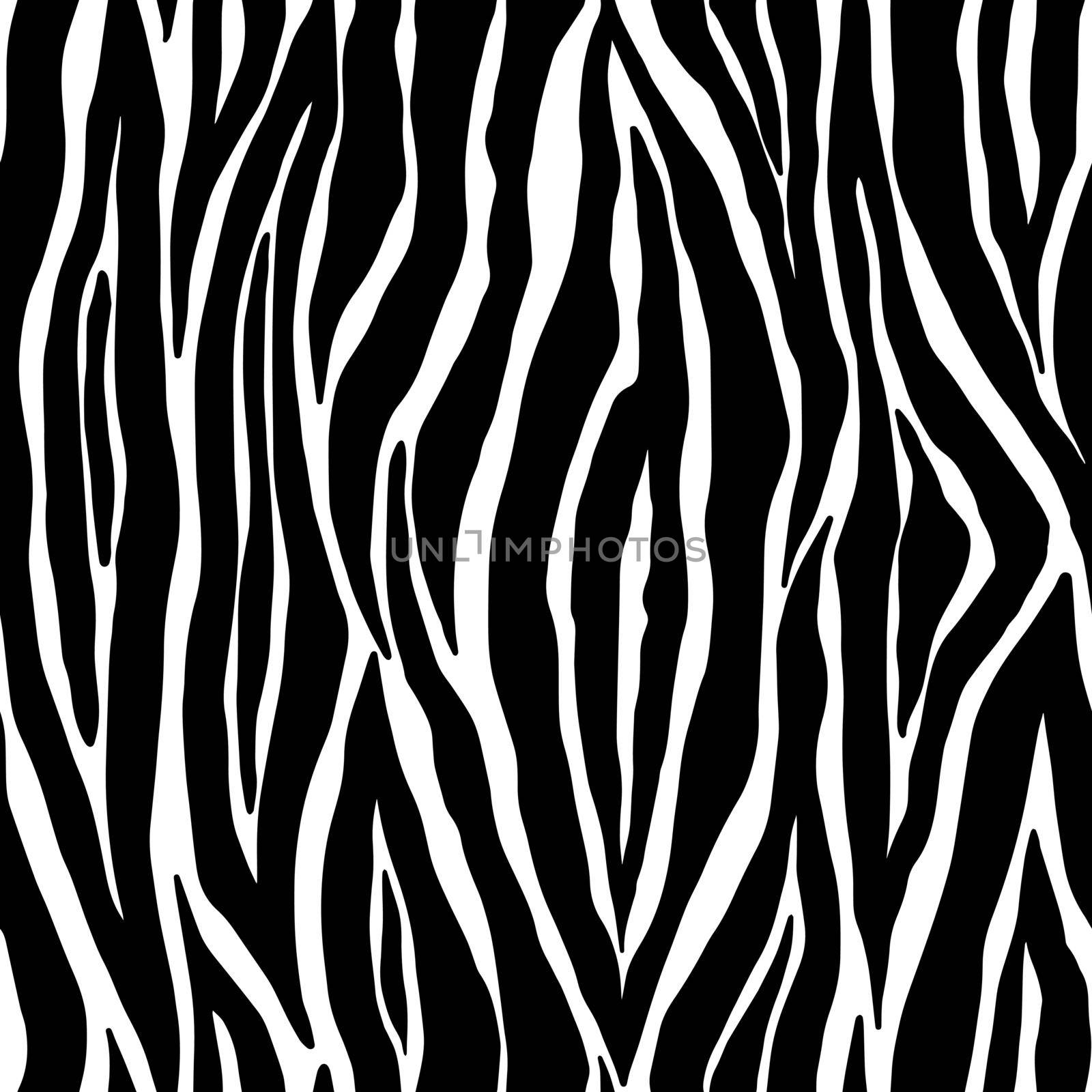 Zebra seamless pattern. Black and white zebra stripes. Vector zoo fabric animal skin material by Elena_Garder
