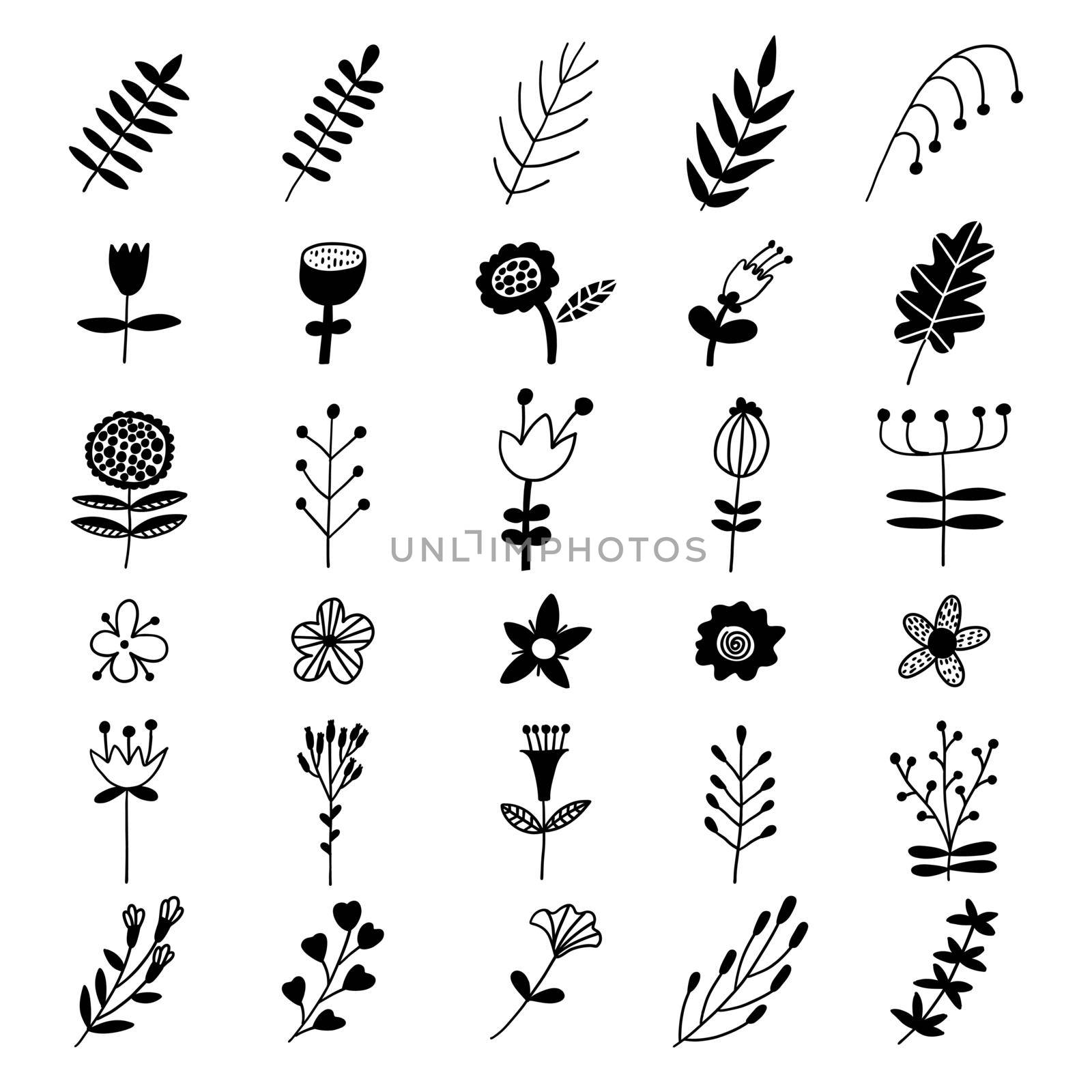 Scandinavian floral elements. Vector hand drawn trendy flowers. Monochrome nordic set.