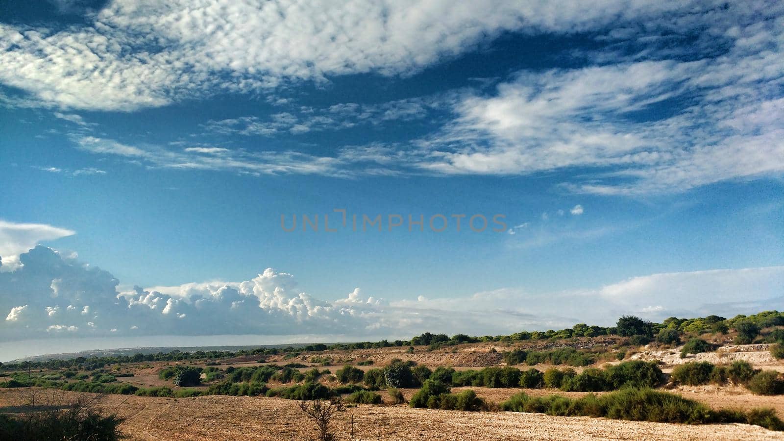 Countryside landscape with native bushes and conifers in Alicante, Spain