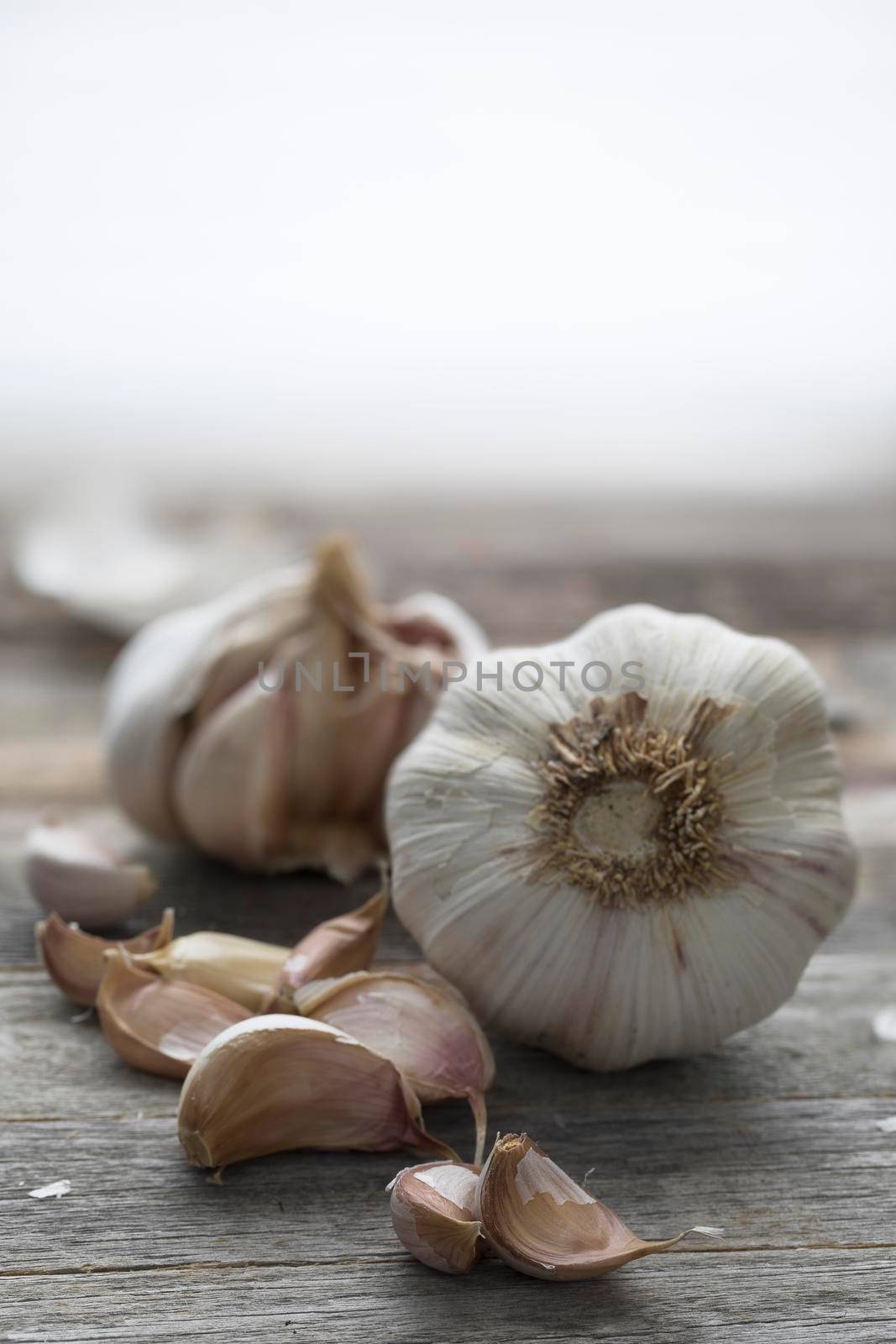 Garlic Cloves Vertical  by charlotteLake