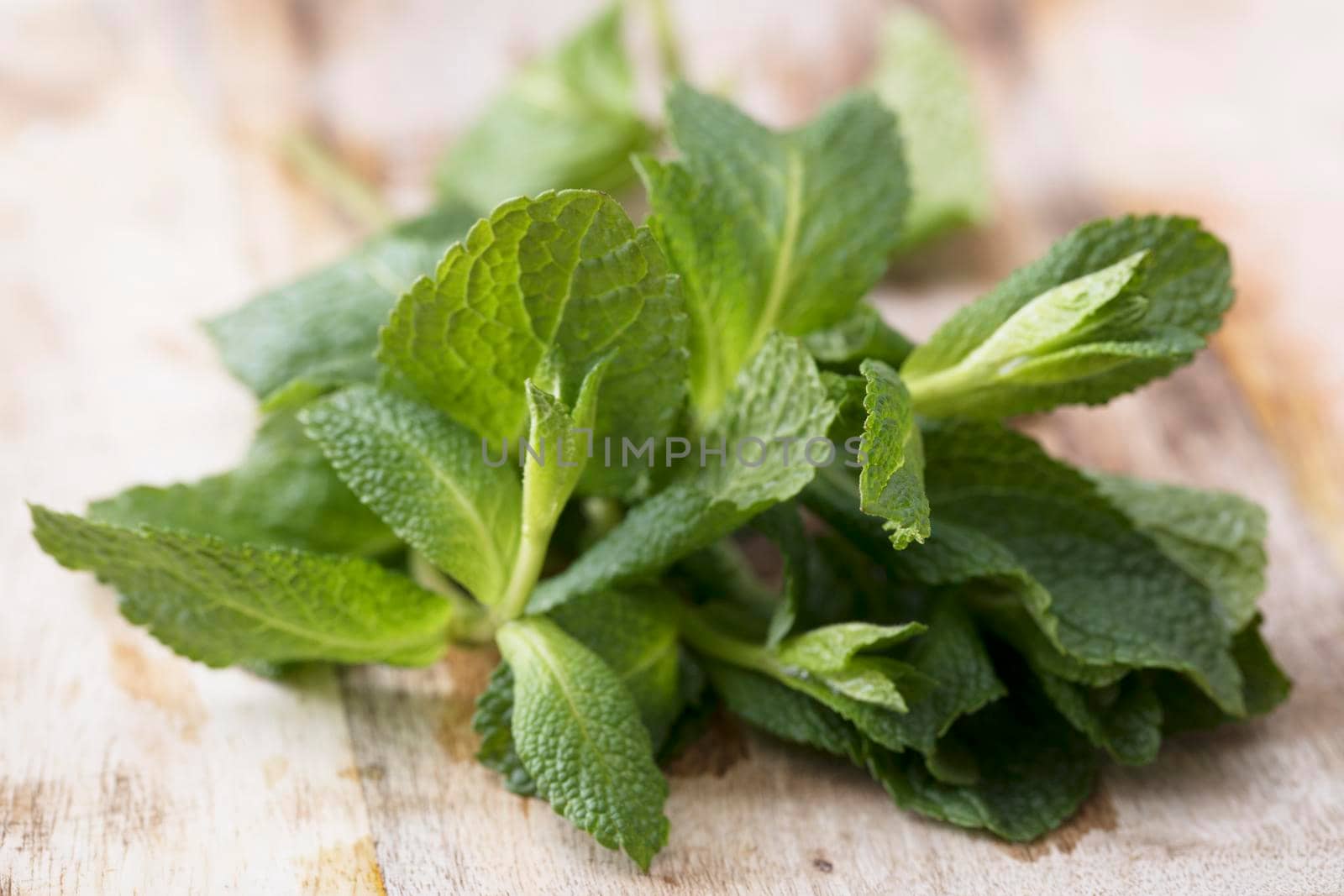 Fresh mint leaves on rustic wooden surface