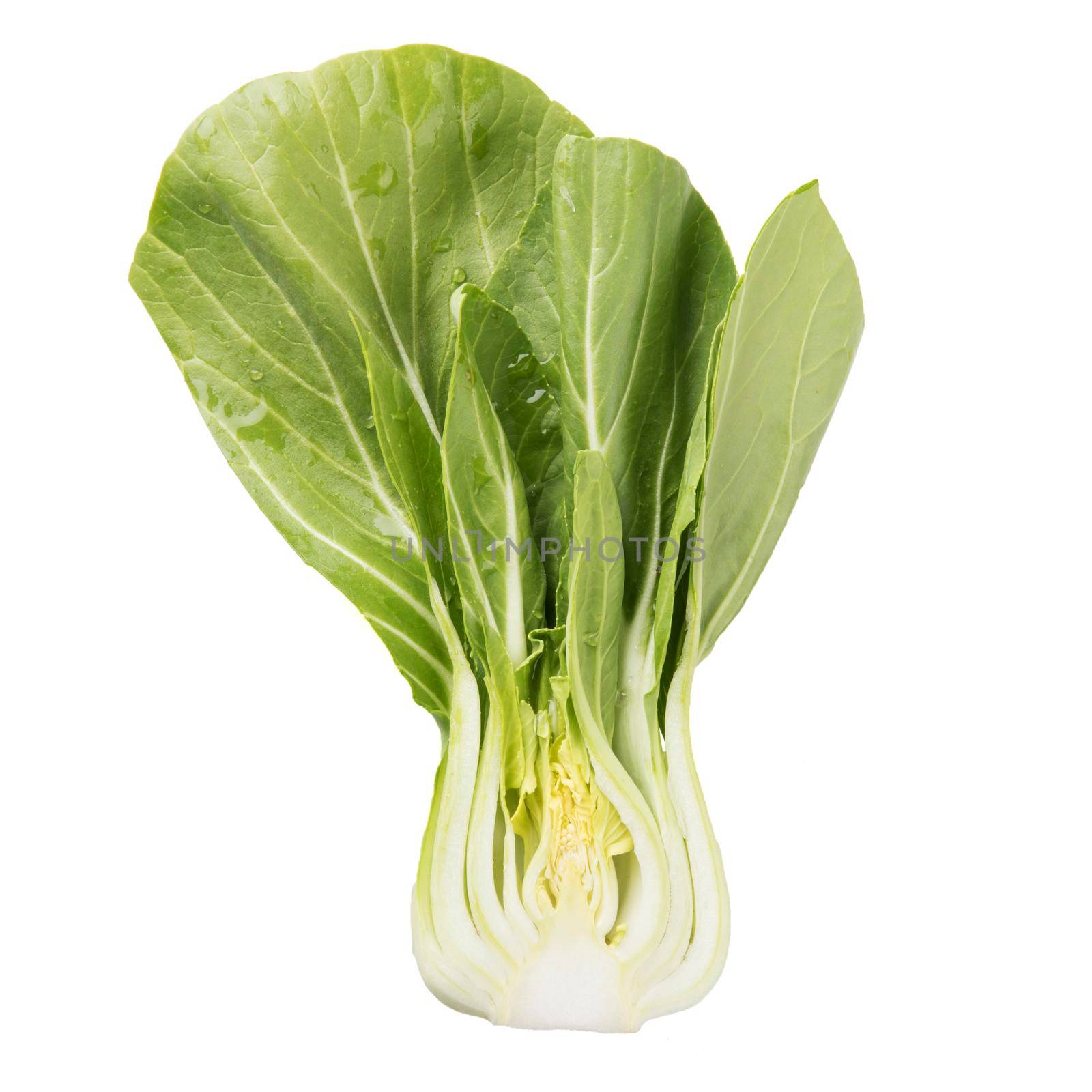 Half of a bok choy isolated on a white background.