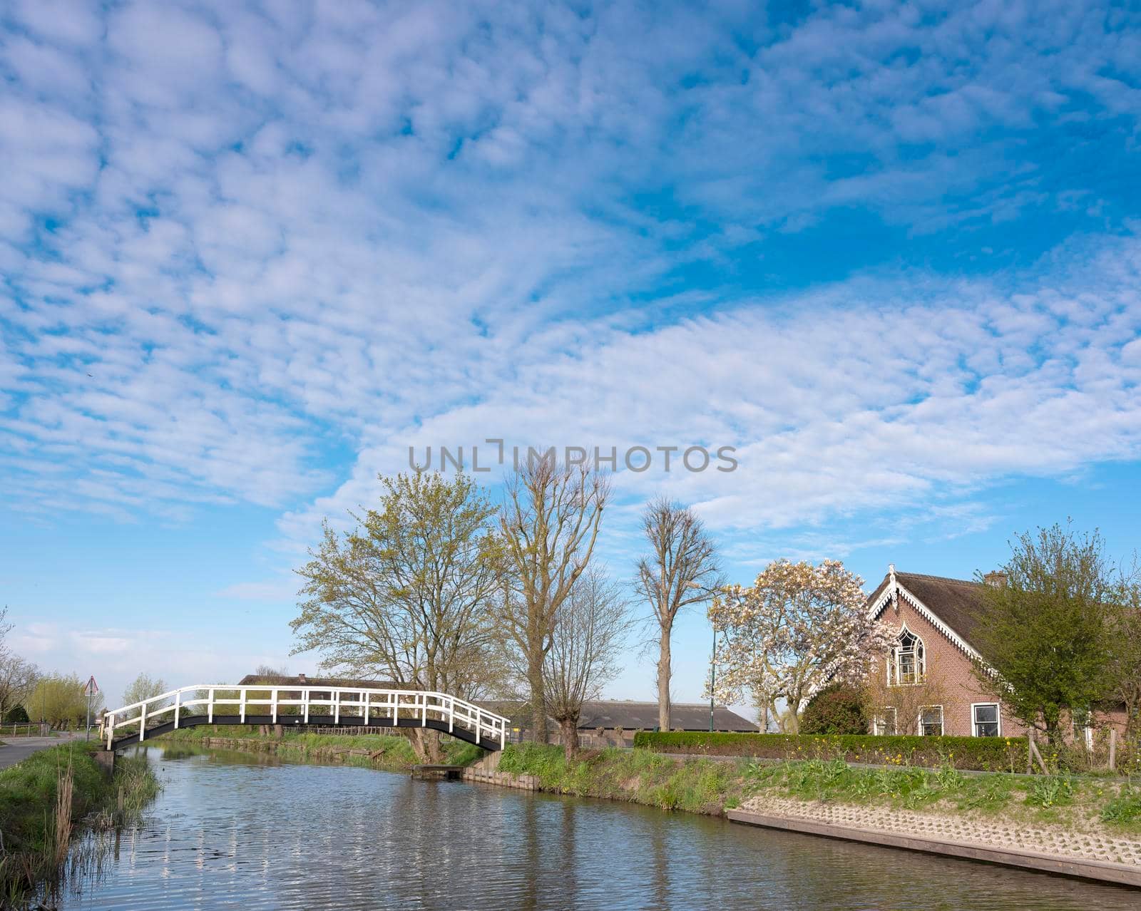 footbridge and old farm near river Lange Linschoten in holland under blue sky in spring by ahavelaar