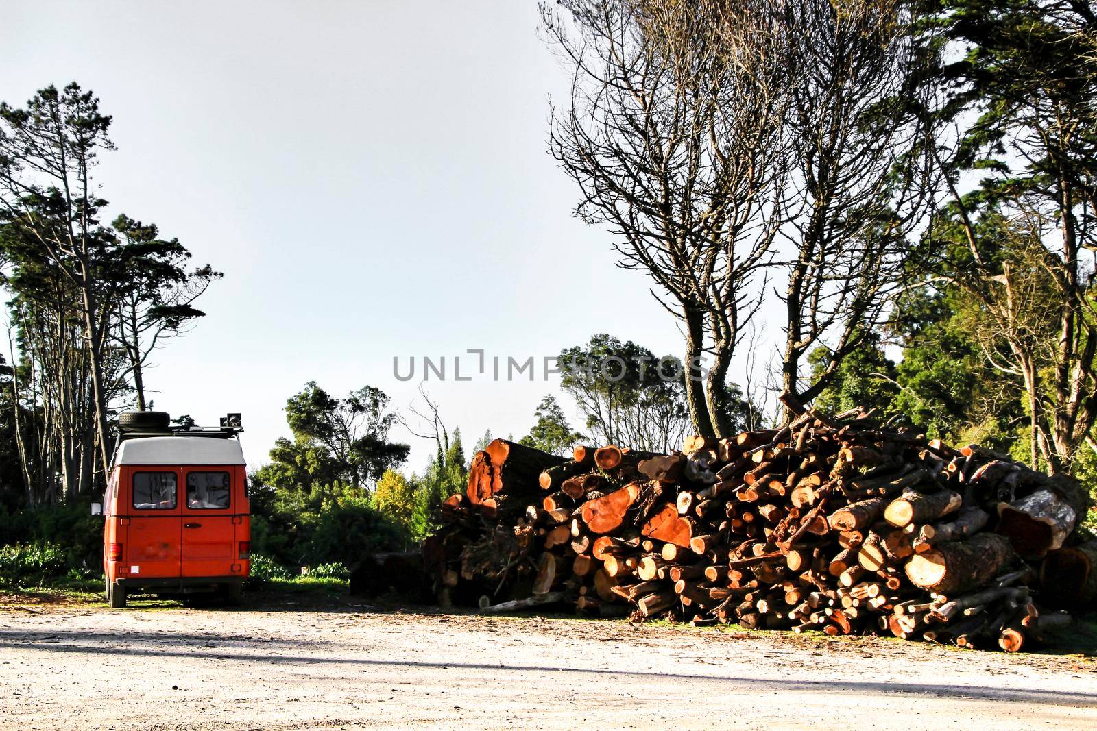 Orange van parked next to cut firewood in a forest in a sunny day of Spring