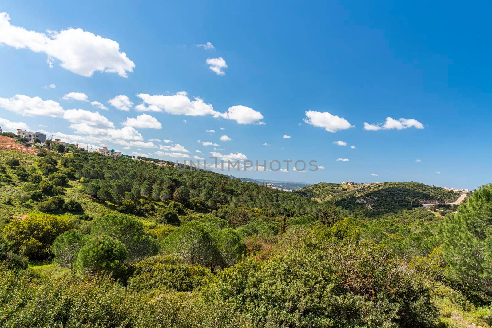 A view of a mountain range of a green forest against a dramatic back of blue sky with clouds. Travel concept hiking. A saddle between mountains, topographic saddle, North District Israel.