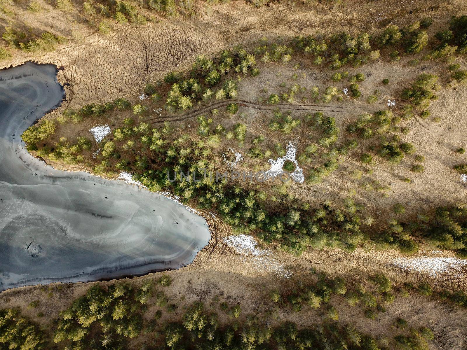 Aerial view from drone at the mountain frozen lake beside desert landscape with rare pine forest.