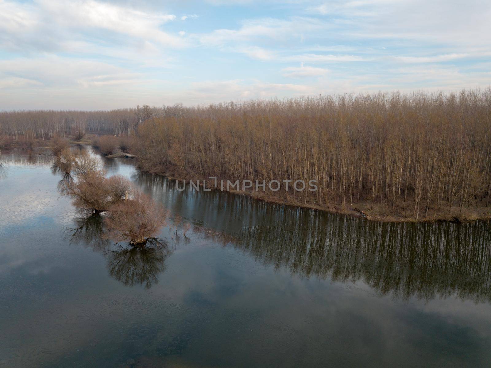 Aerial view of trees in a forest near the river in autumn at sunset. 