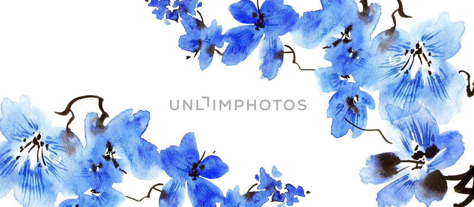 Watercolor illustration of blossom tree branch with blue flowers. Oriental traditional painting in style sumi-e, u-sin and gohua. Flowers on white background. Horizontal background.