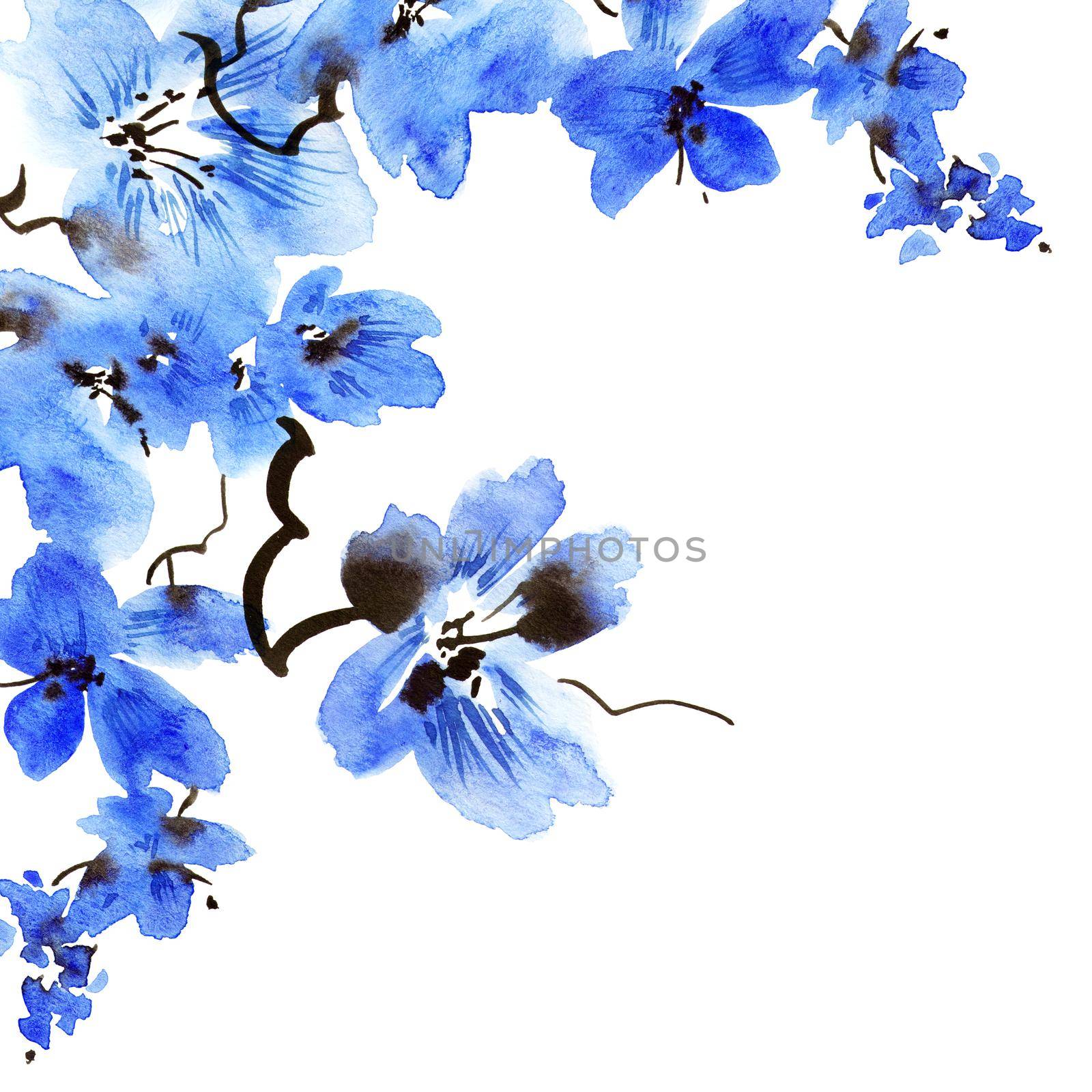 Watercolor illustration of blossom tree branch with blue flowers. Oriental traditional painting in style sumi-e, u-sin and gohua. Flowers on white background.