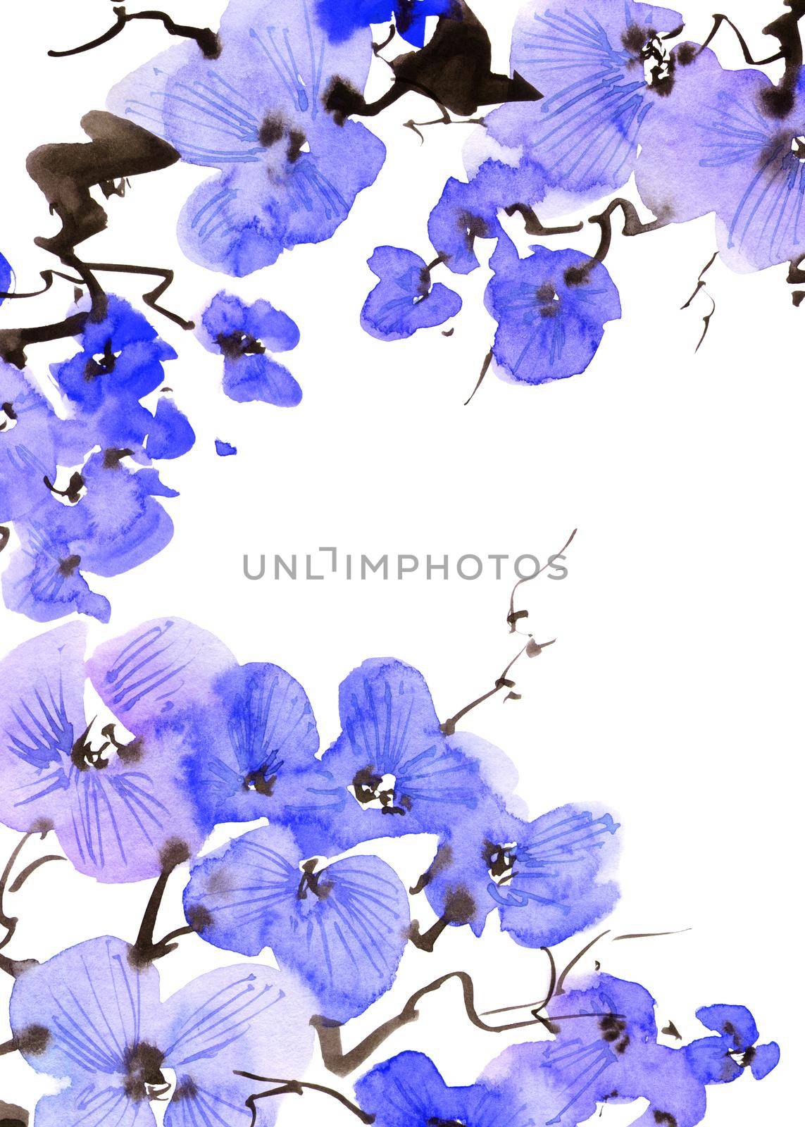 Watercolor illustration of blossom tree branch with blue flowers. Oriental traditional painting in style sumi-e, u-sin and gohua. Flowers on white background. Vertical background.