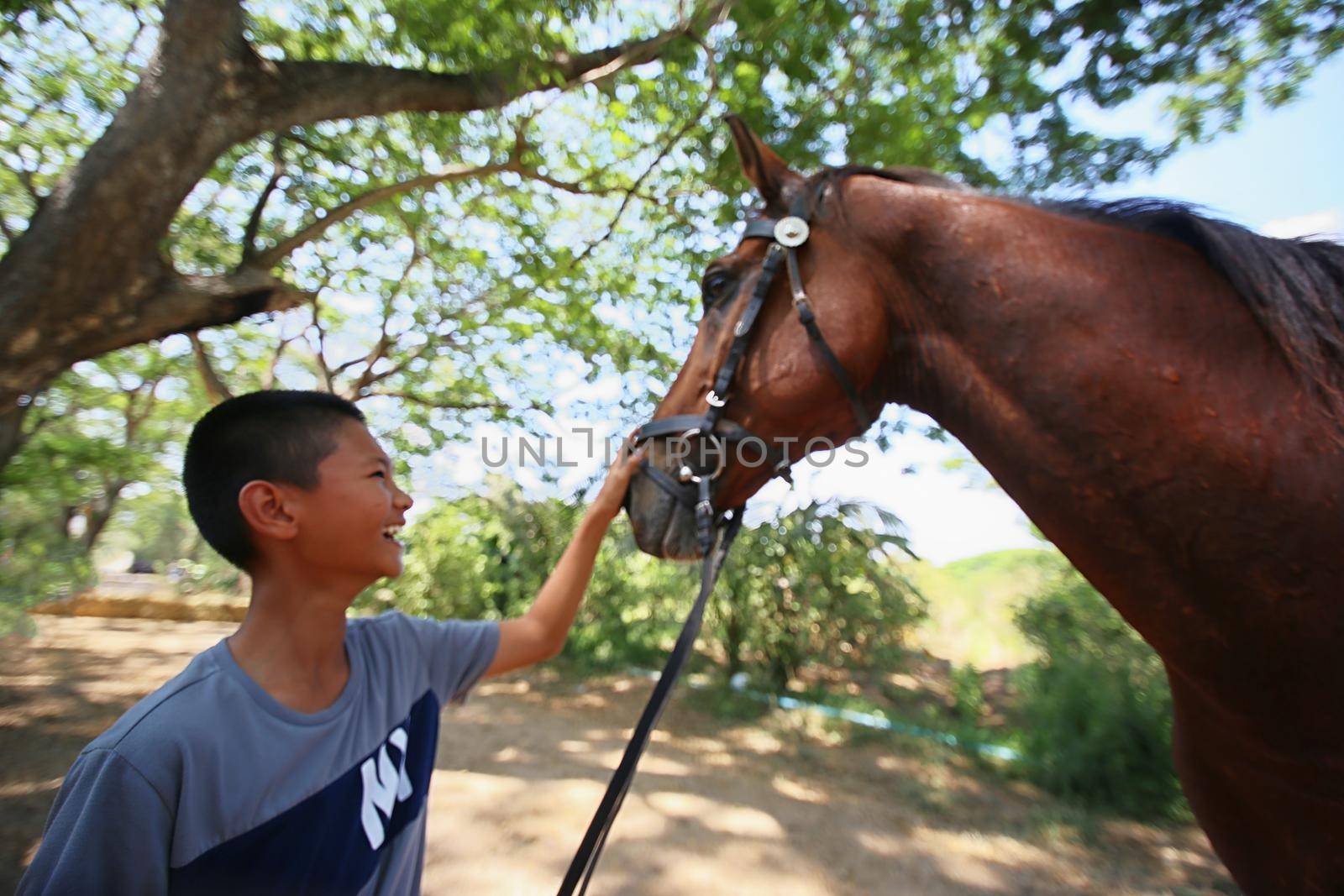 the boy hand  touching on horse nose against forest. by chuanchai