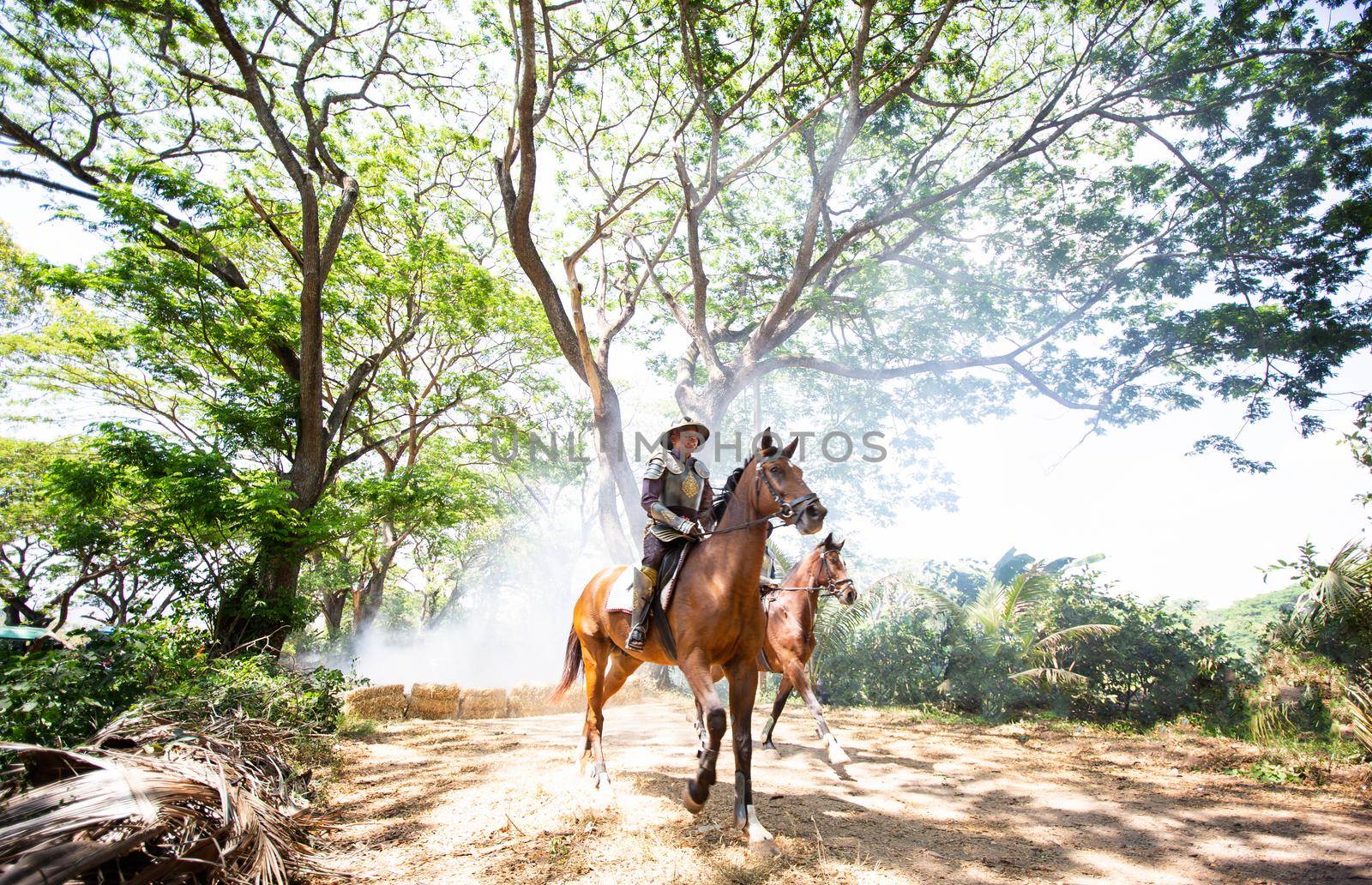 Aisan Thai soldier in the history scene with armor suit costume and horse	
