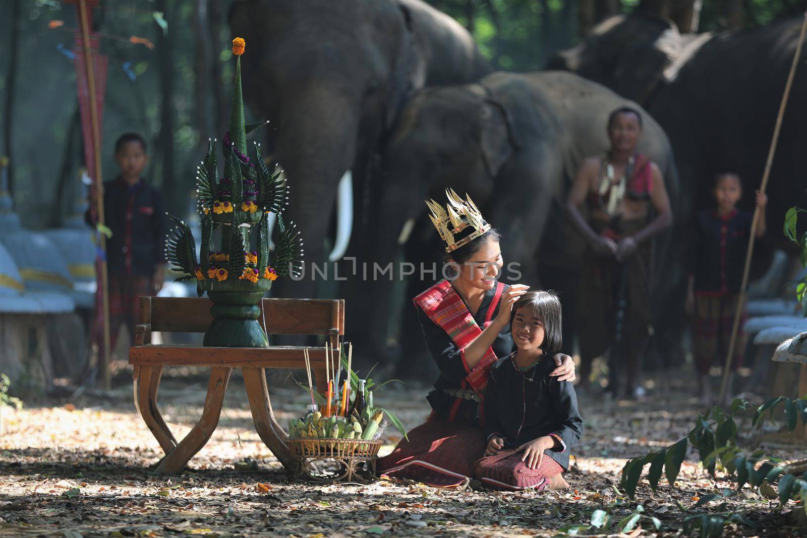 Elephant with Asian girl