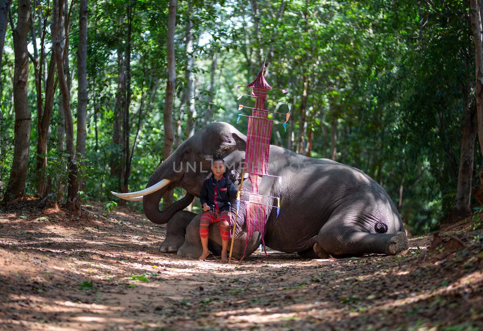 An elephant mahout and elephant walking through the haze in the jungle. Lifestyle of surin elephants village. by chuanchai