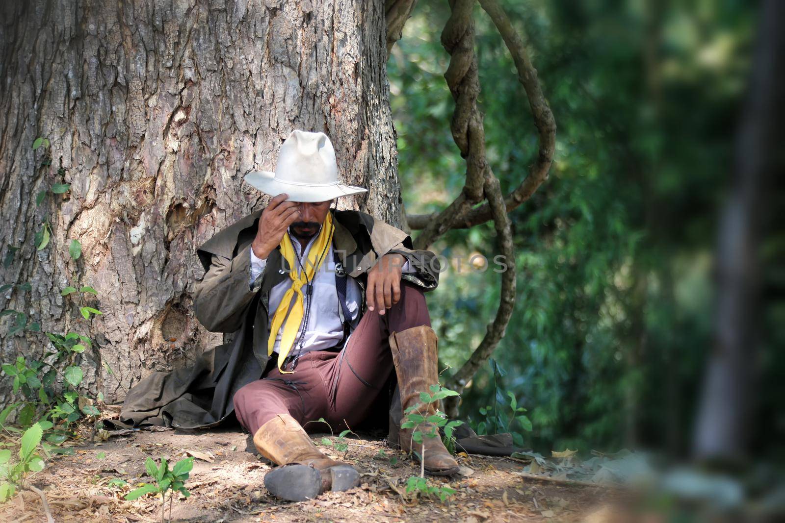 Life in the Outback, The country cowboy experience and Living in the Great Outdoors. by chuanchai