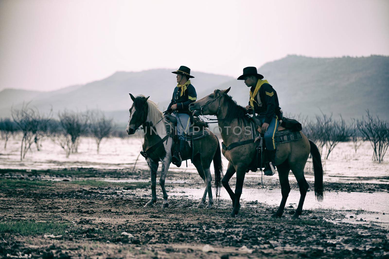 cowboy riding horse against sunset	 by chuanchai