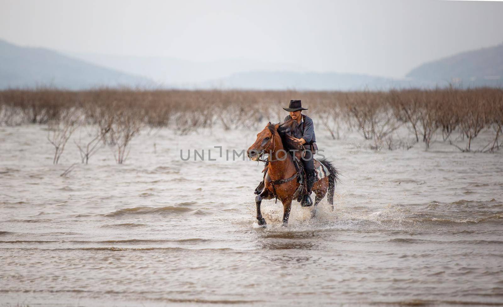 cowboy riding horse against sunset	 by chuanchai