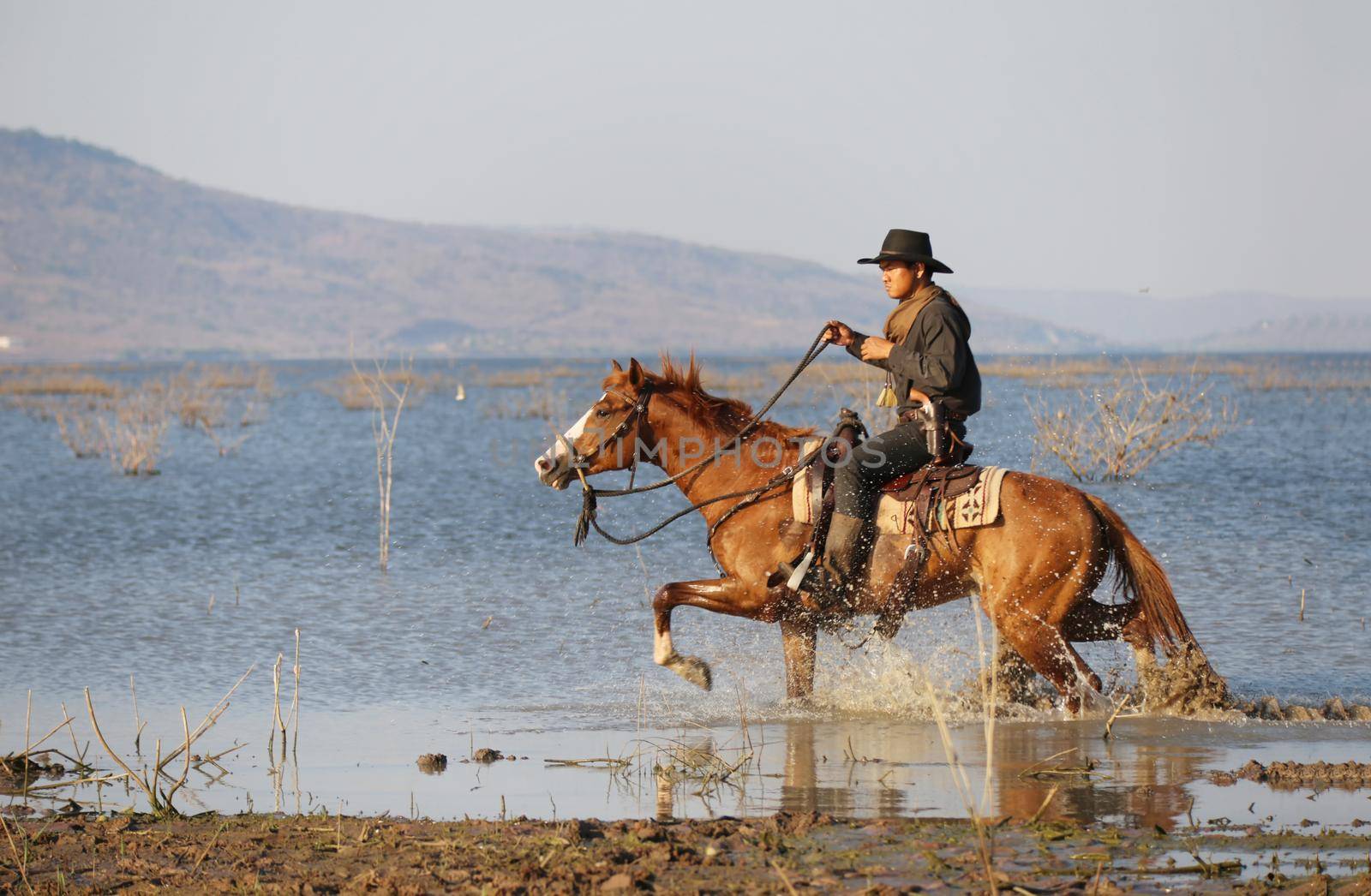 cowboy riding horse against sunset	 by chuanchai