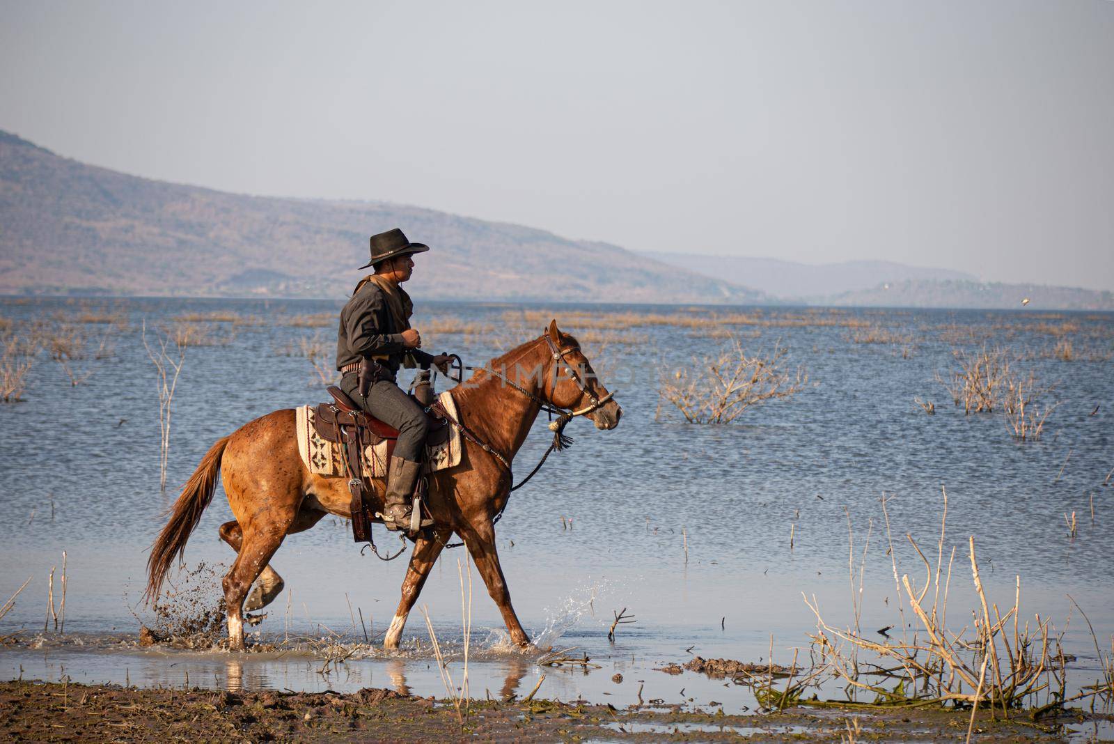 cowboy and horse at first light,mountain, river and lifestyle with natural light background	