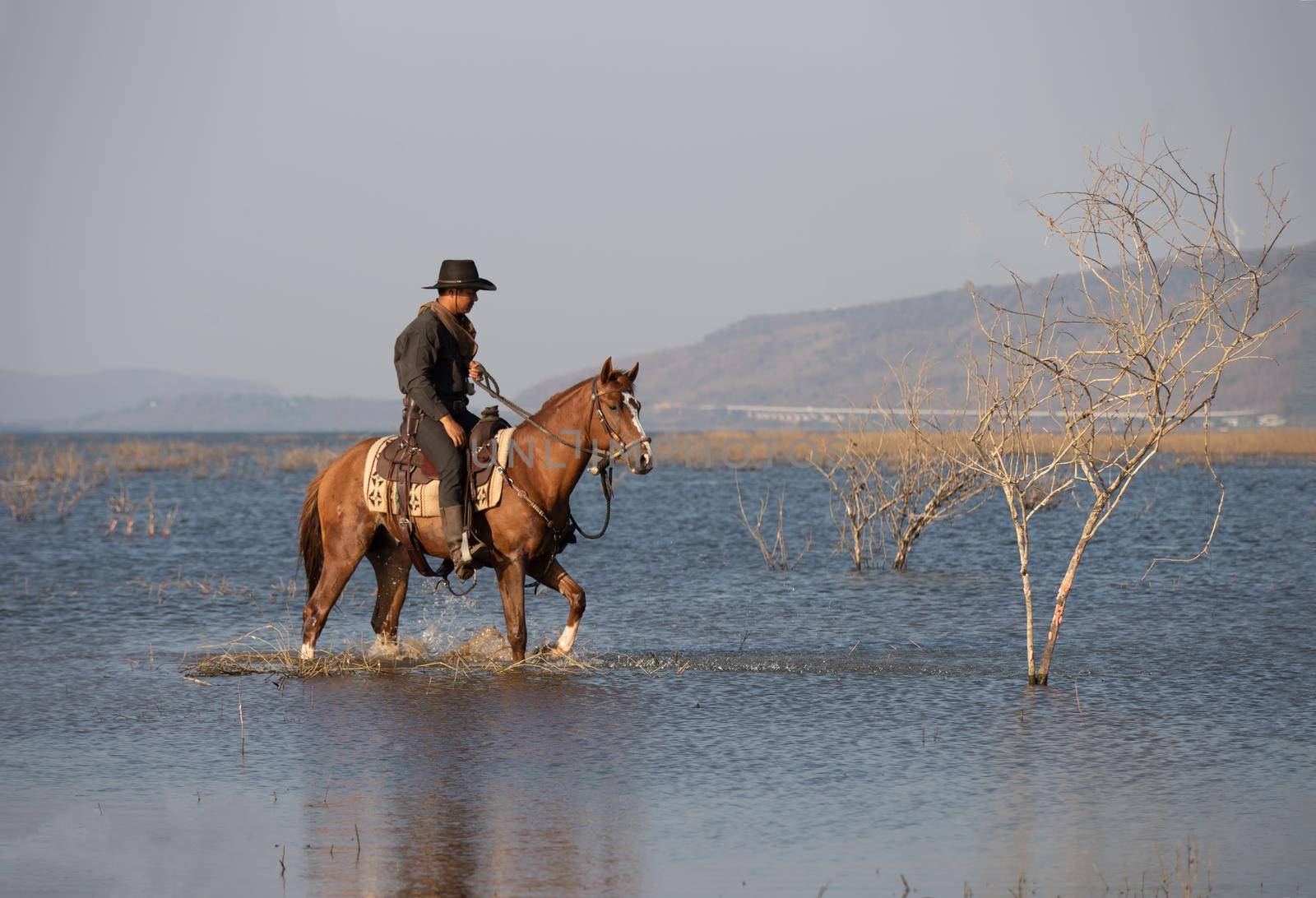 cowboy and horse at first light,mountain, river and lifestyle with natural light background	