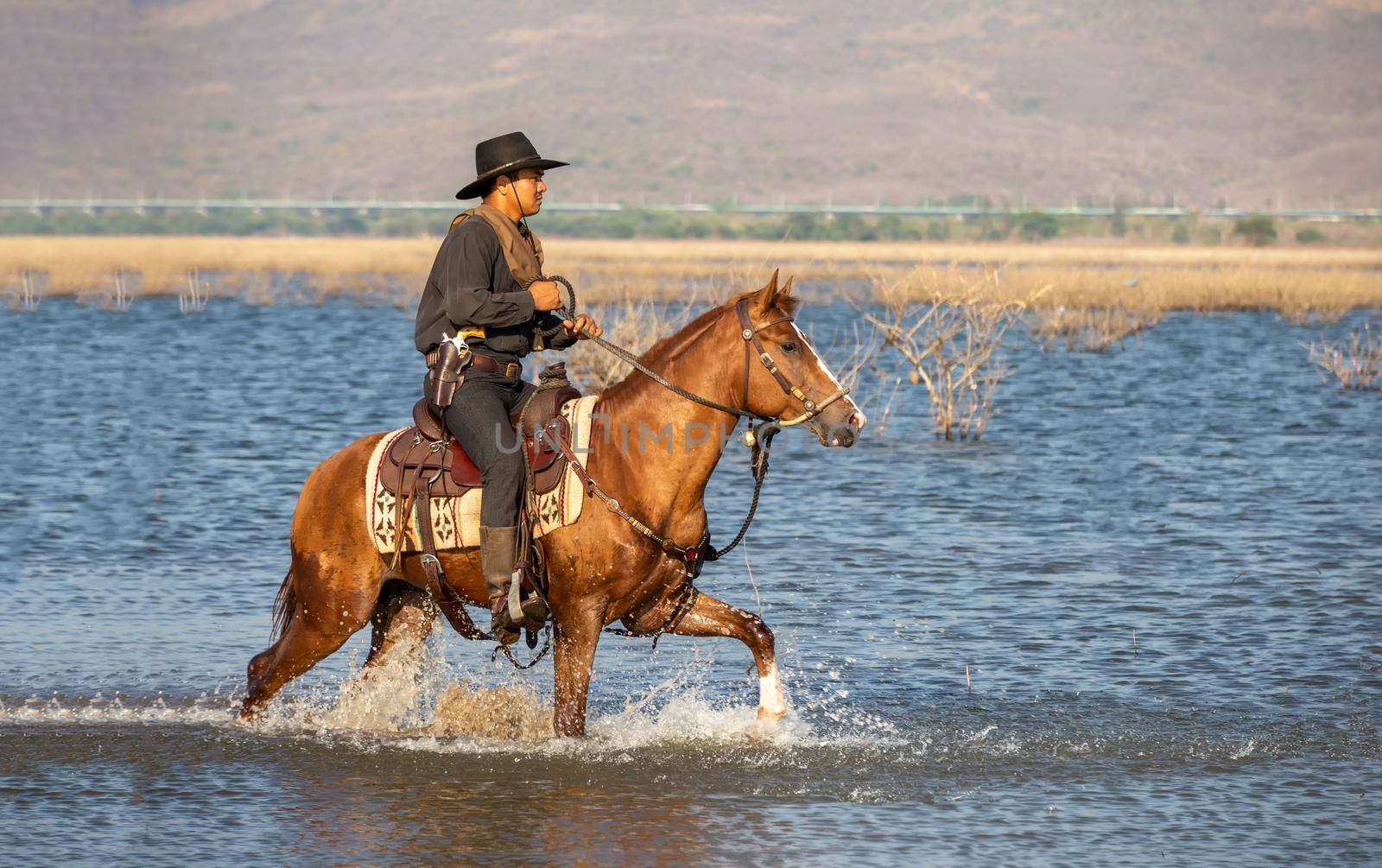 cowboy riding horse against sunset	 by chuanchai