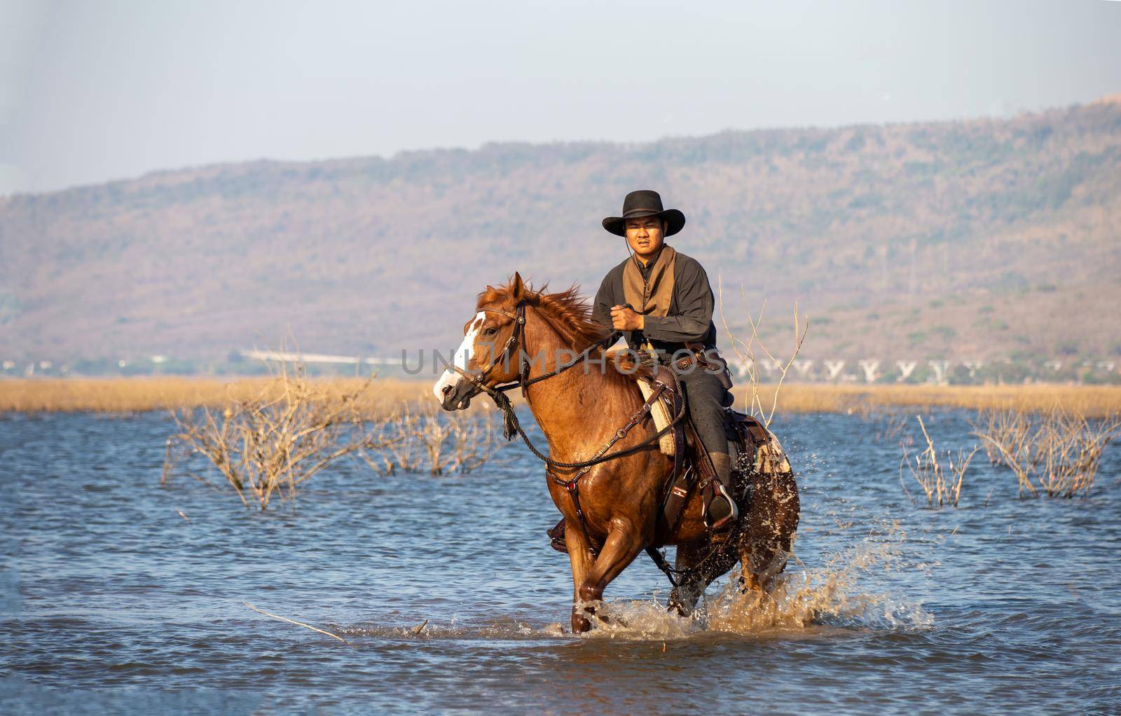 cowboy riding horse against sunset	 by chuanchai