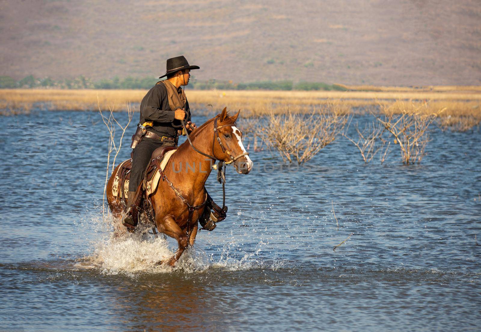 cowboy riding horse against sunset	 by chuanchai