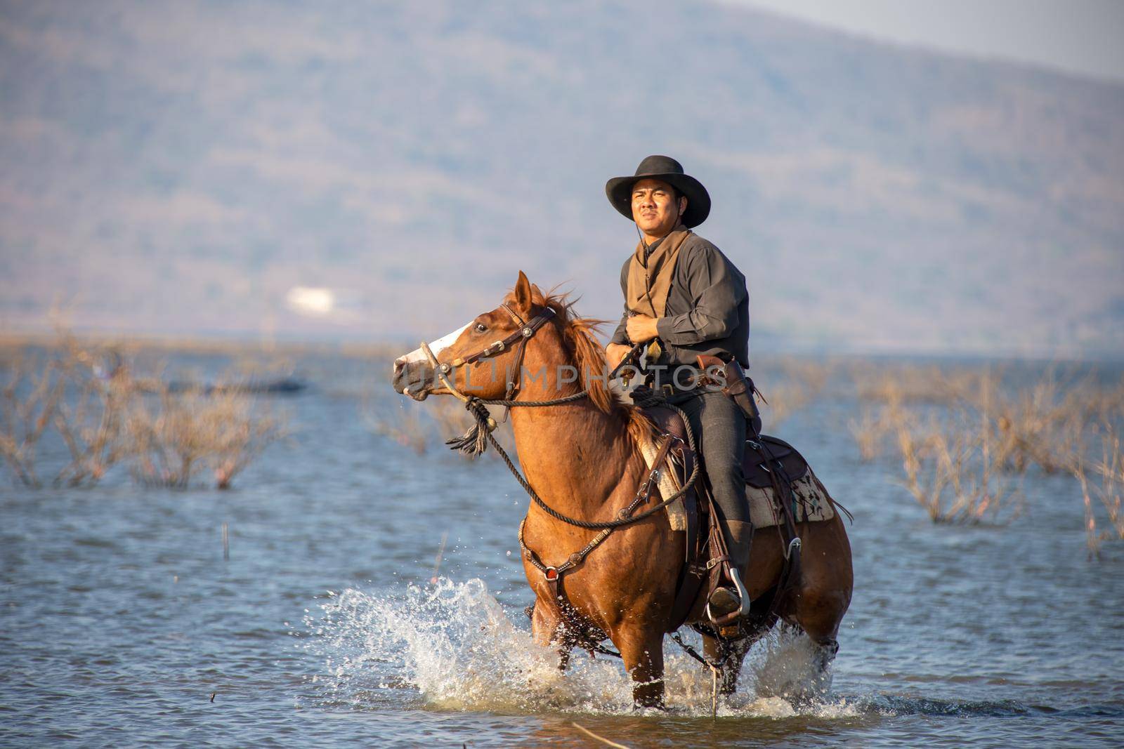 cowboy riding horse against sunset	 by chuanchai