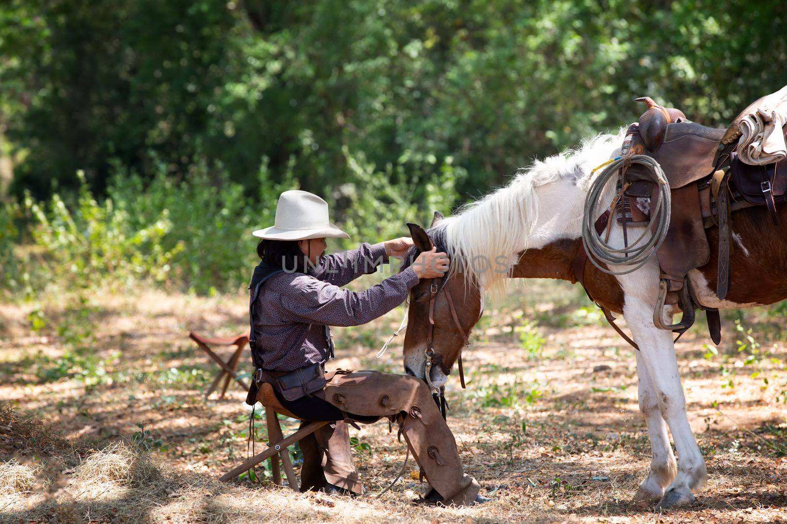 cowboy riding horse against sunset	 by chuanchai